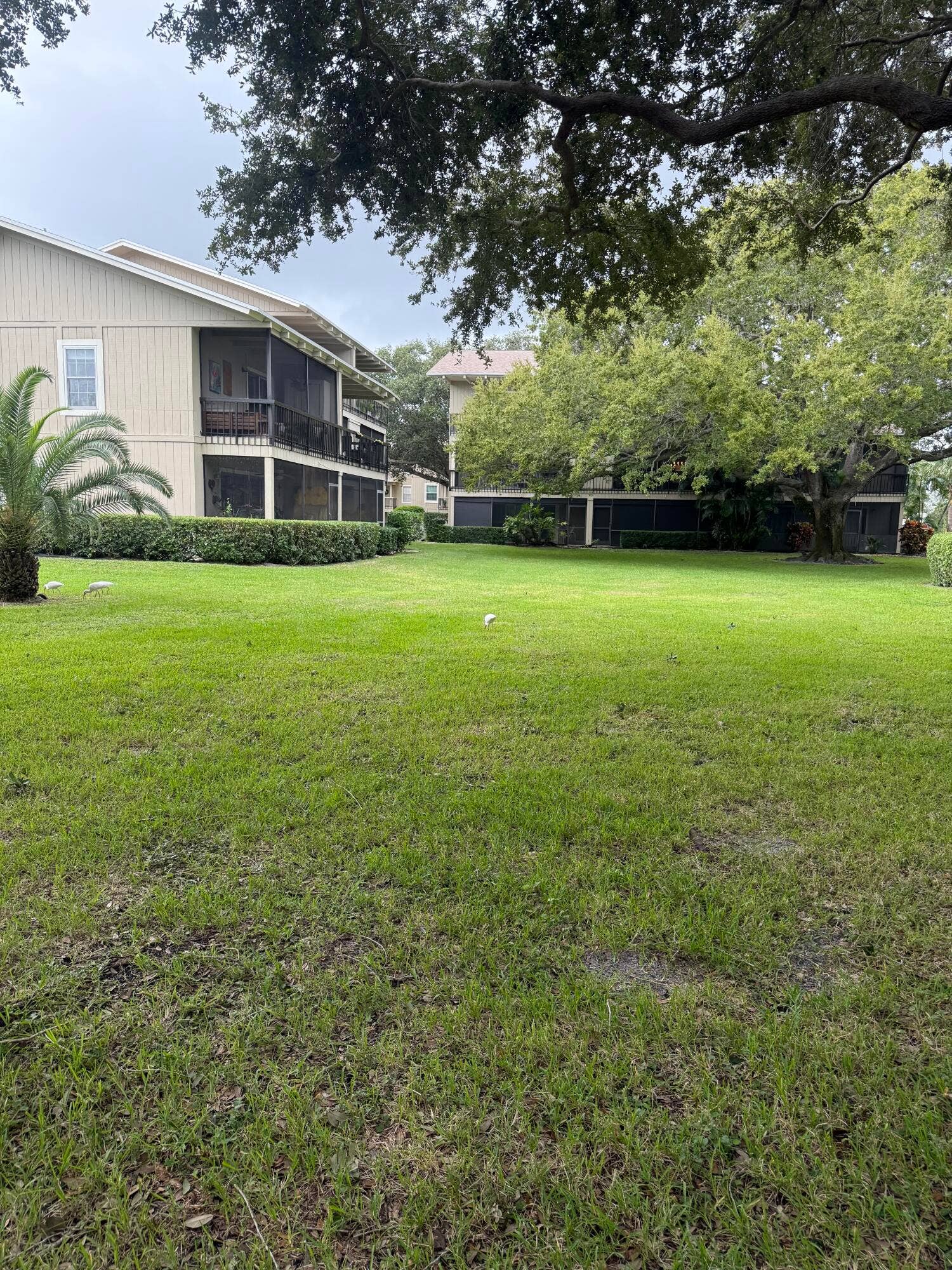 18400 SE Wood Haven Lane, #M, Jupiter, FL 33469 IMG_6701