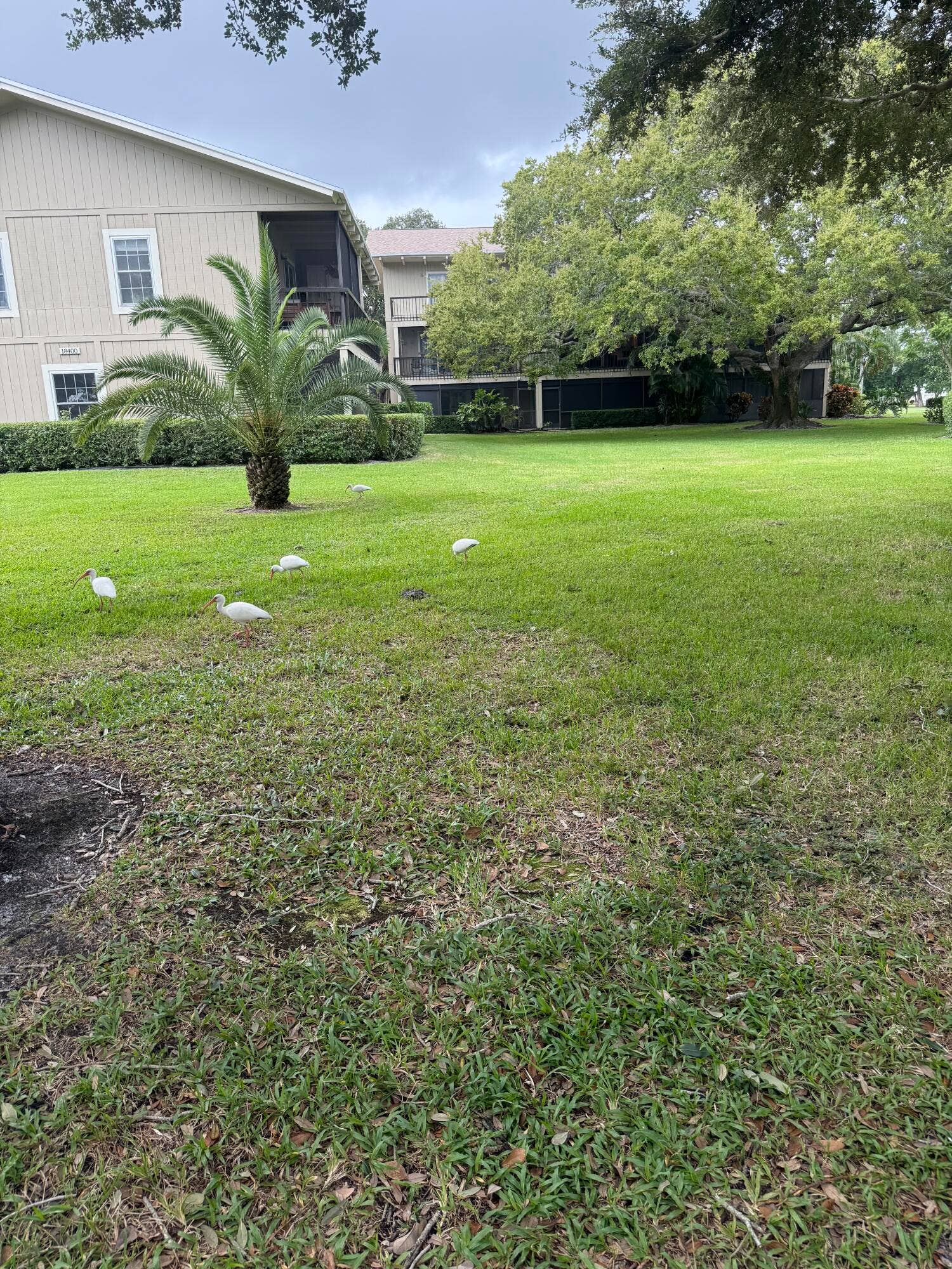18400 SE Wood Haven Lane, #M, Jupiter, FL 33469 IMG_6693