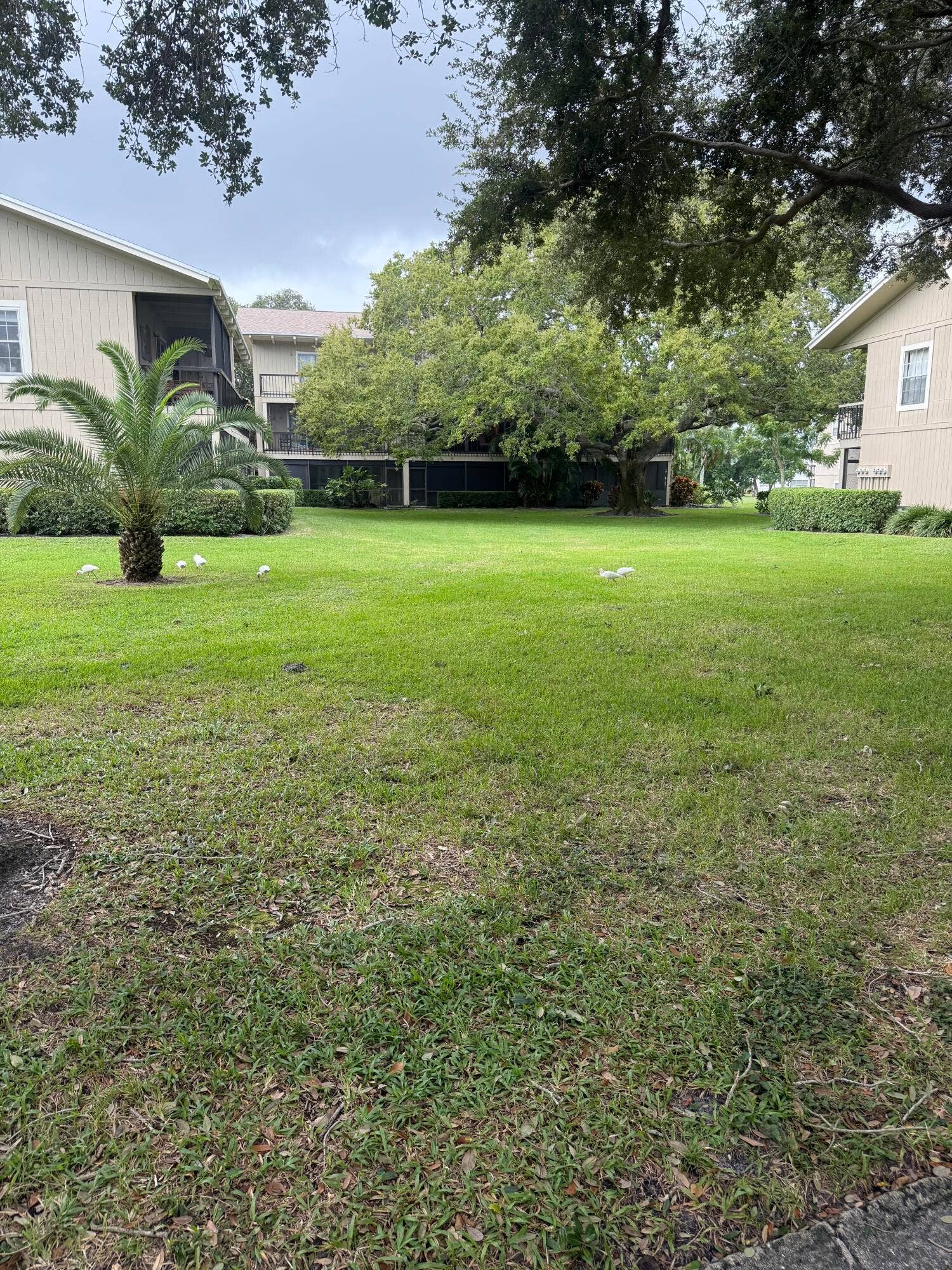 18400 SE Wood Haven Lane, #M, Jupiter, FL 33469 IMG_6698
