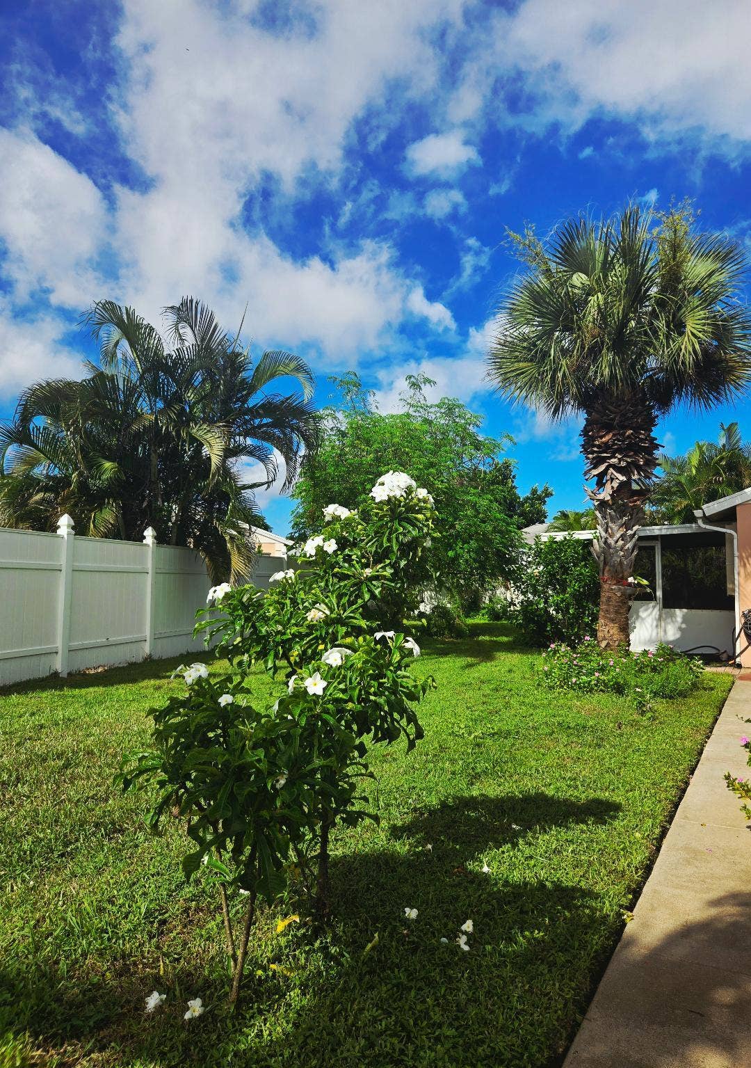 Side Yard