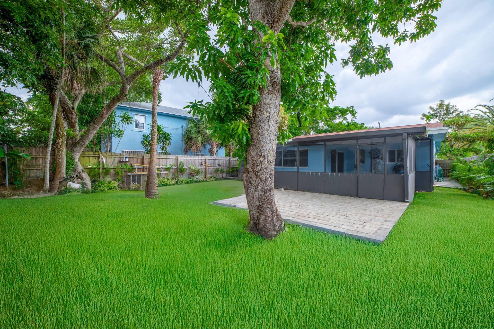 Backyard-Grass