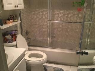 sabal palm bath 2