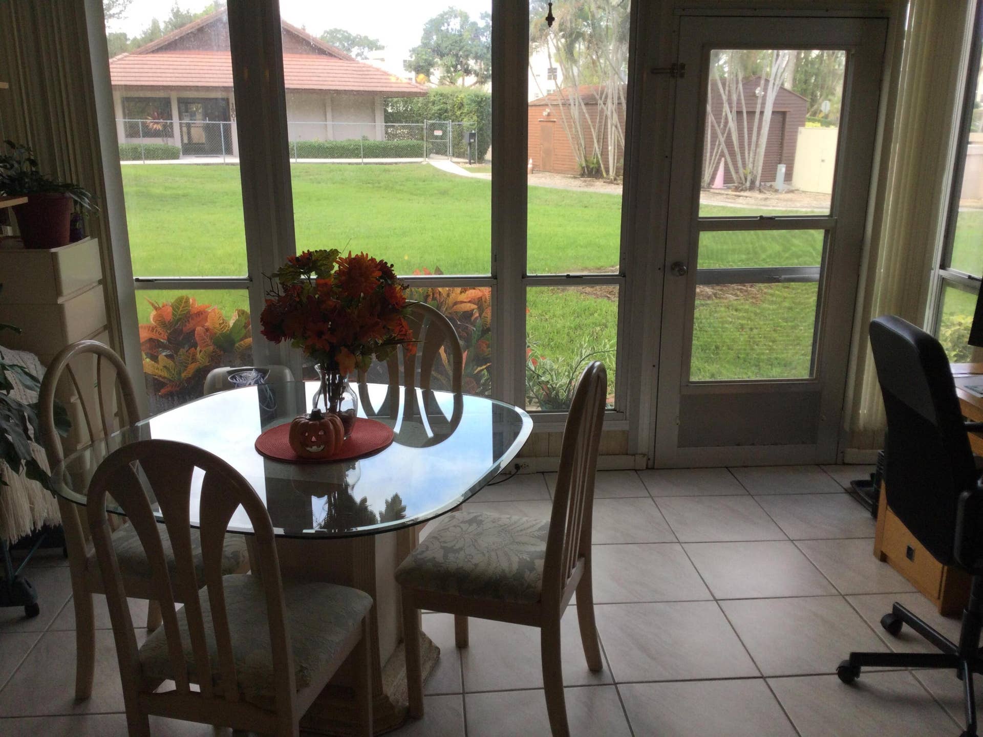 SABAL PALM PATIO