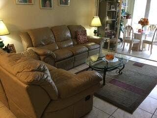 sabal palm livinf room and patio