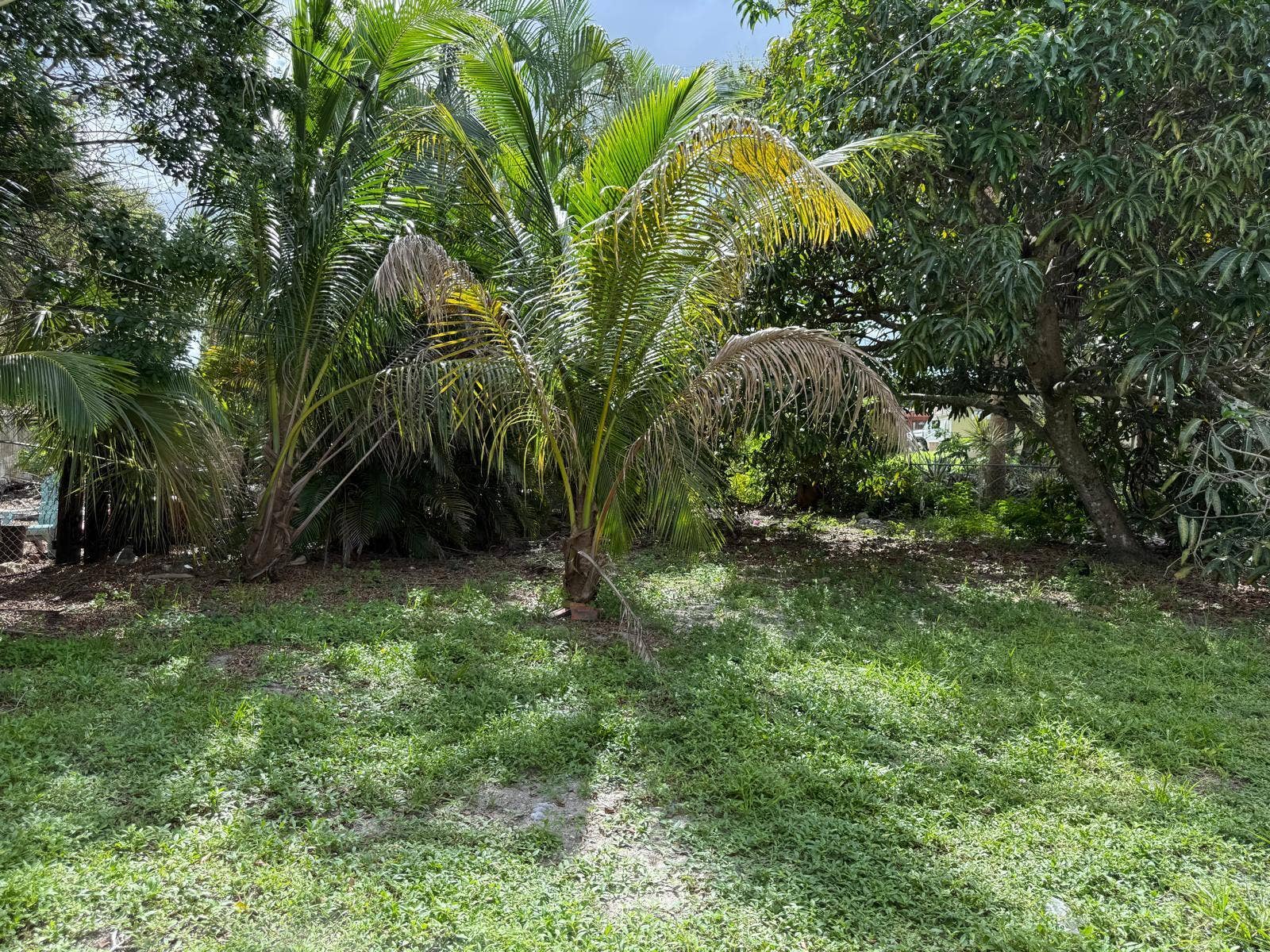 6300 SW 41ST Street, Davie, Davie, FL 33314 4