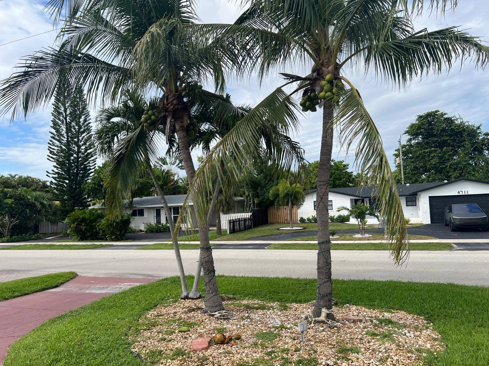 4710 NE 18th Avenue, Fort Lauderdale, FL 33334 1000503554