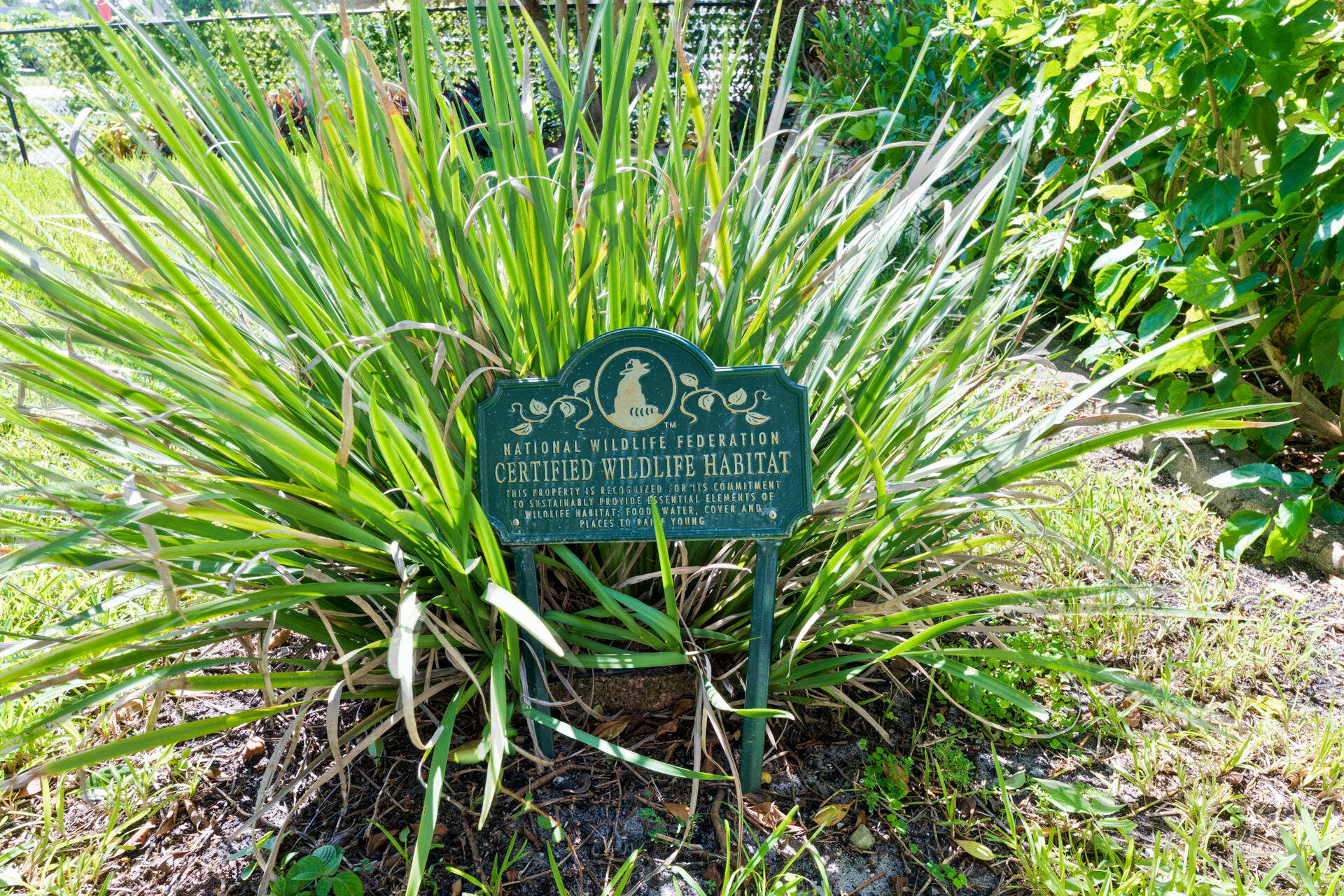 National Wildlife Federation recognized as a Certified Wildlife Habitat