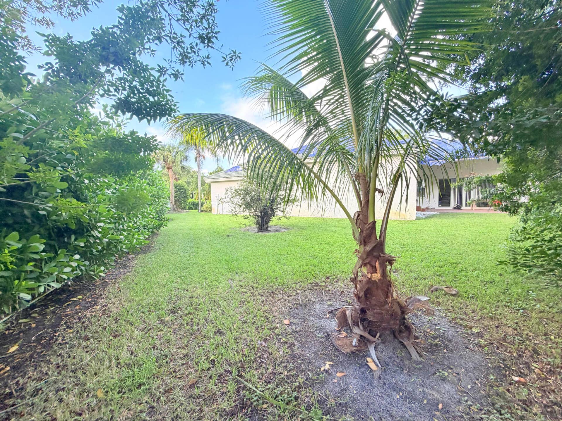 11779 OSPREY POINT Circle, Wellington, FL 33449 backyard