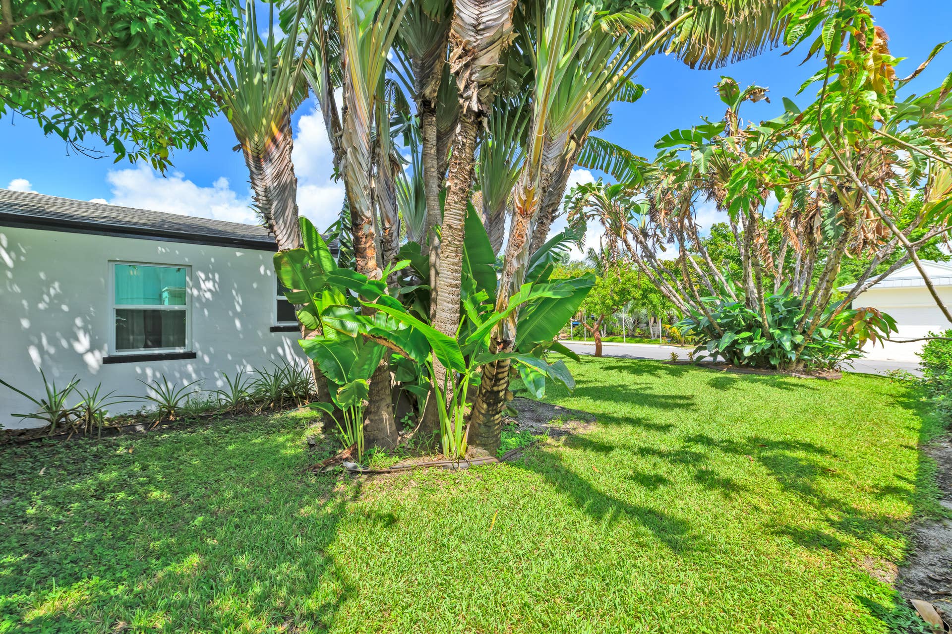 29 - East Side View 2