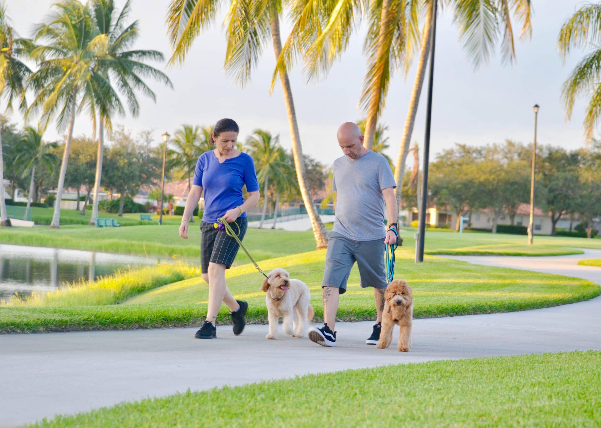 2006 W Tigris Drive, West Palm Beach, West Palm Beach, FL 33411 Walking dogs