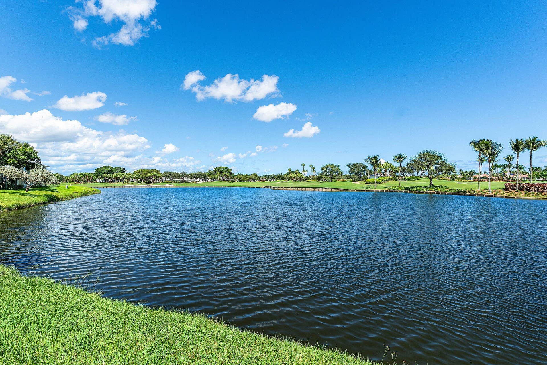 Waterfront setting featuring a grass embankment, mature trees, and landscaping elements