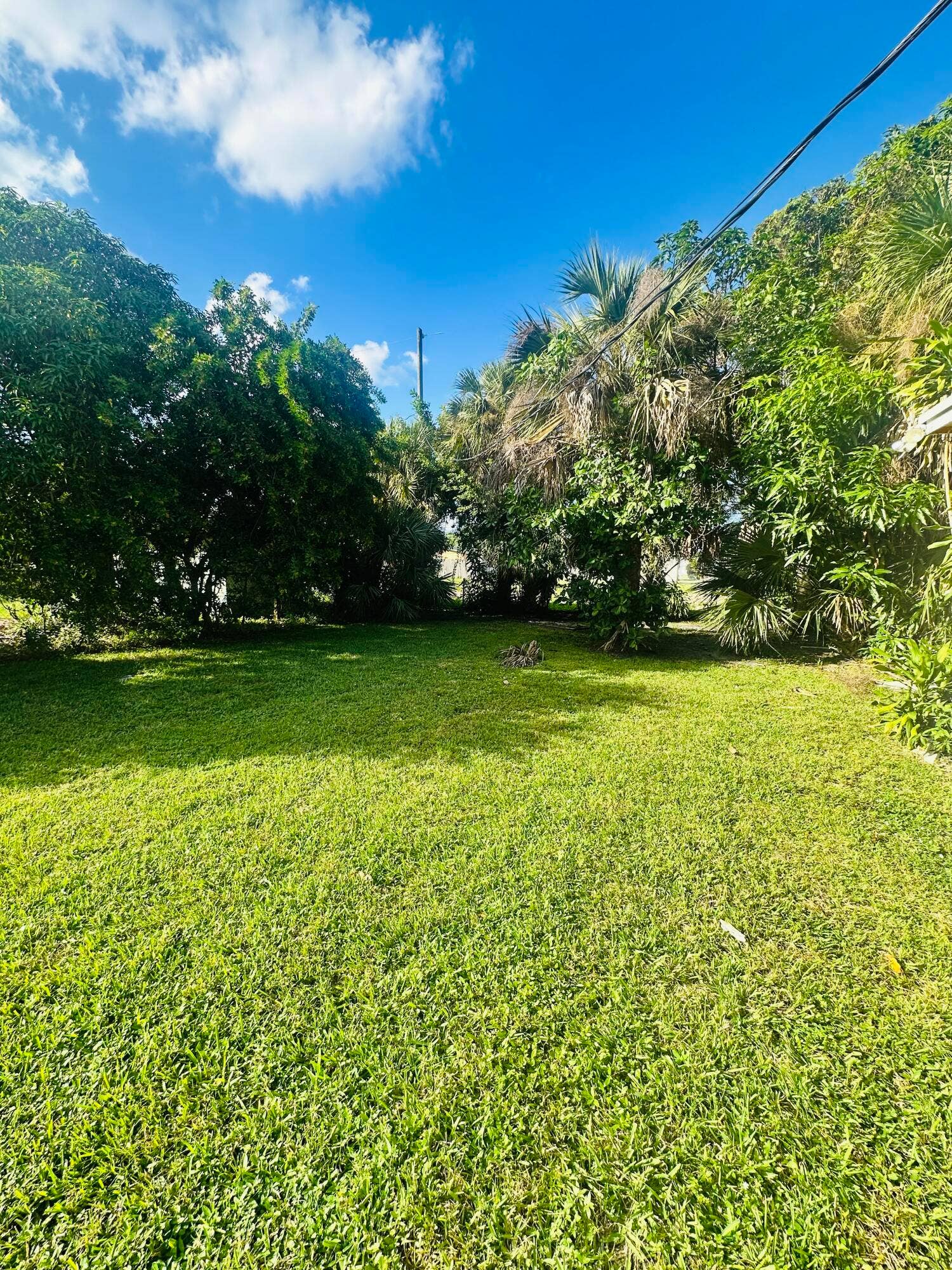 1572 W 10th Street, Riviera Beach, FL 33404 Yard