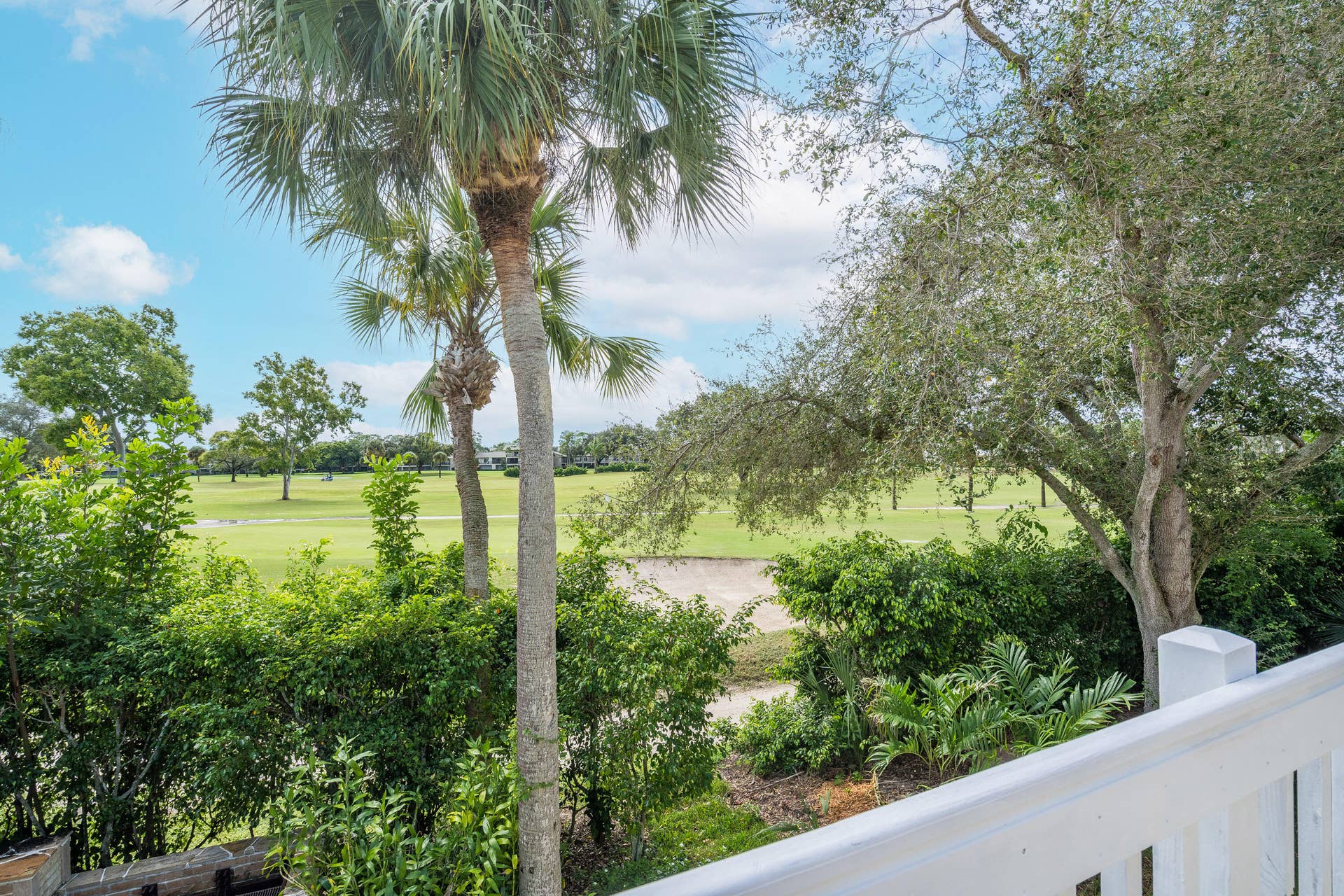 View from Deck