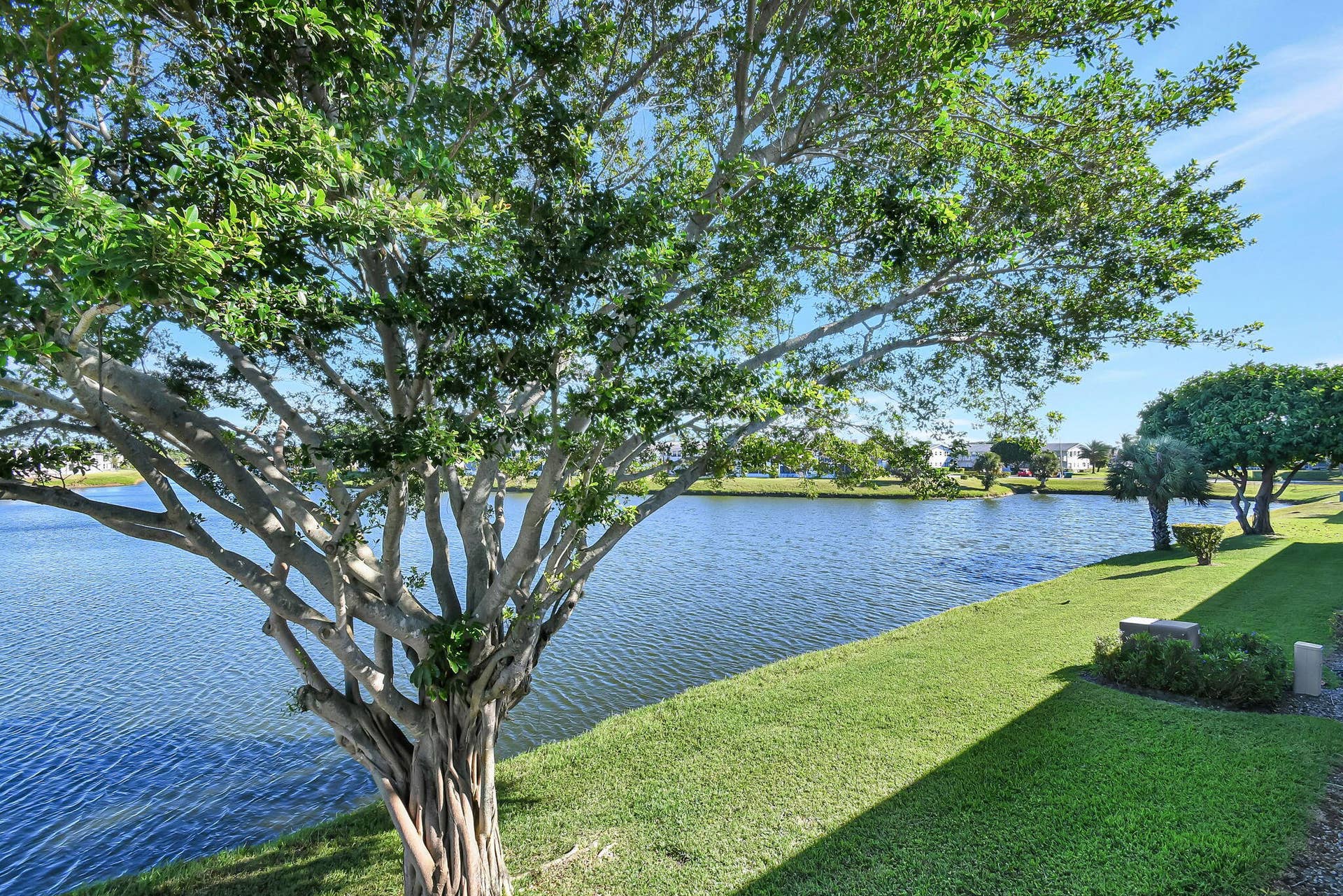 28-web-or-mls-Apartment (28)