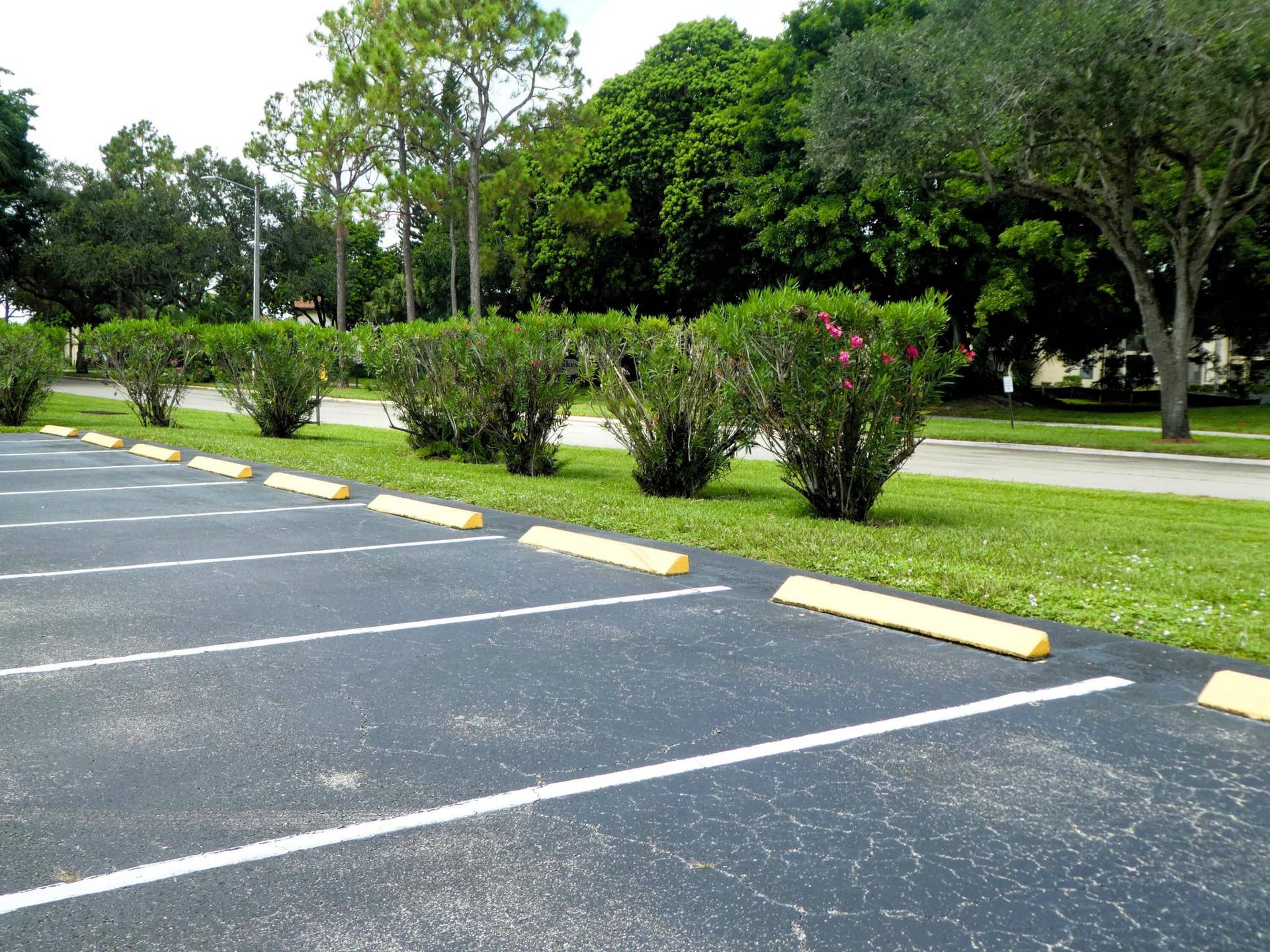GUEST PARKING