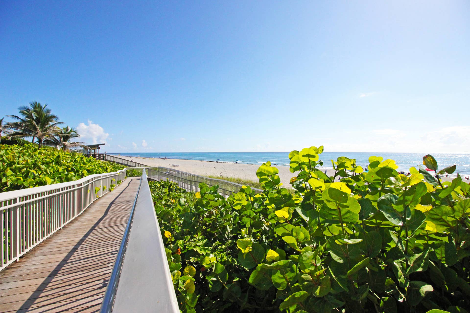 2611 VENETIAN Drive, Boynton Beach, FL 33426 Boynton Boardwalk