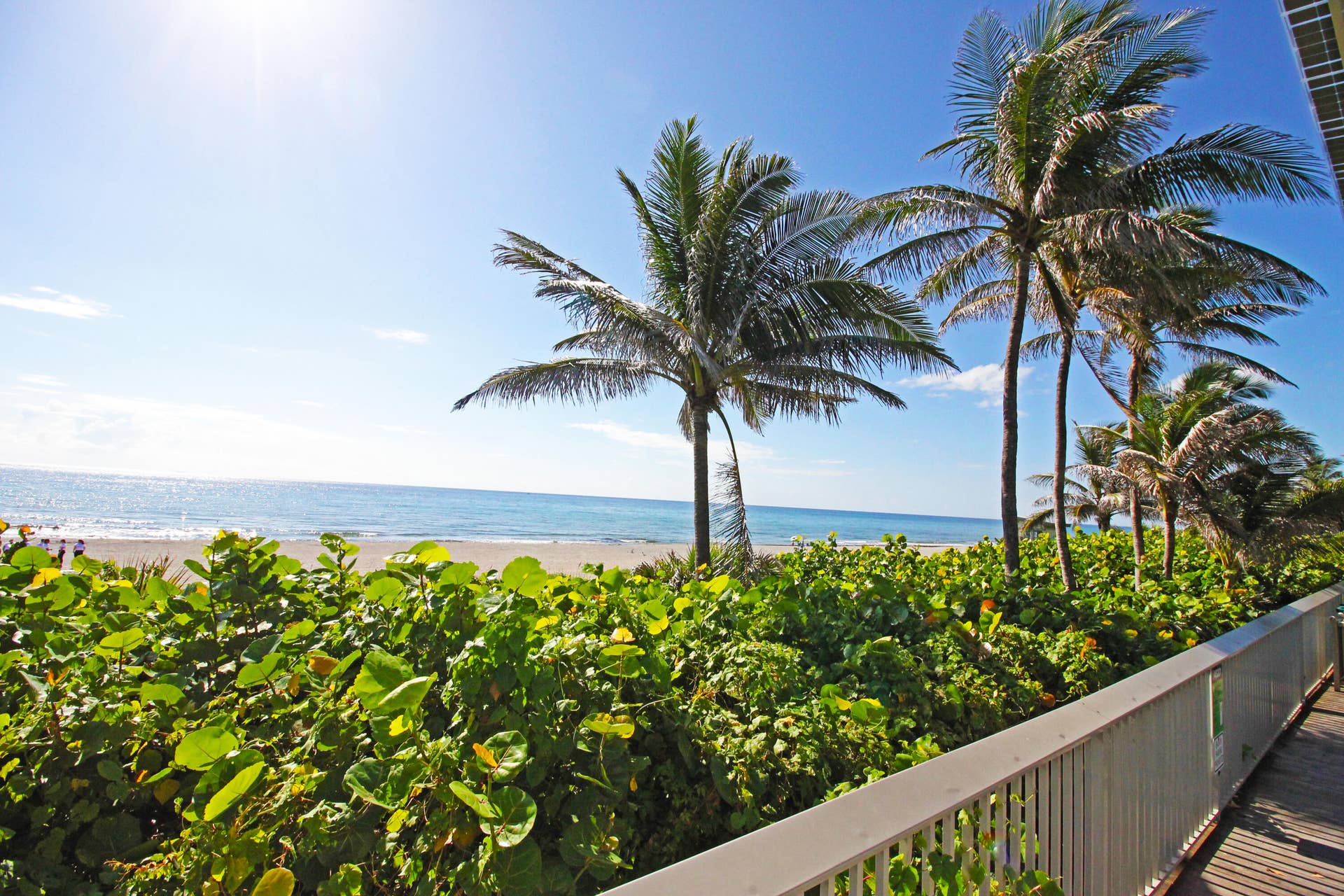 2611 VENETIAN Drive, Boynton Beach, FL 33426 Boynton Beach Views