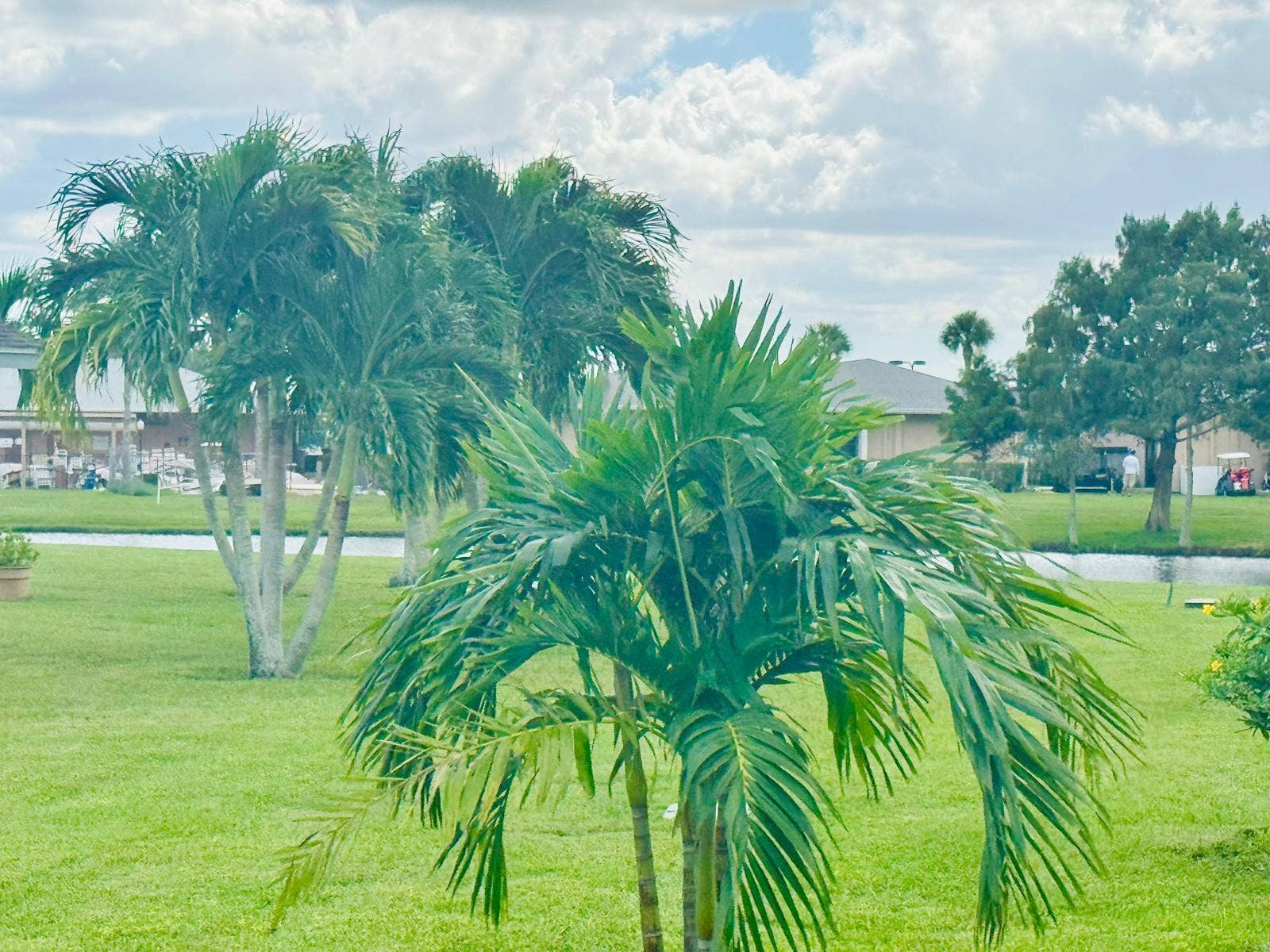 view