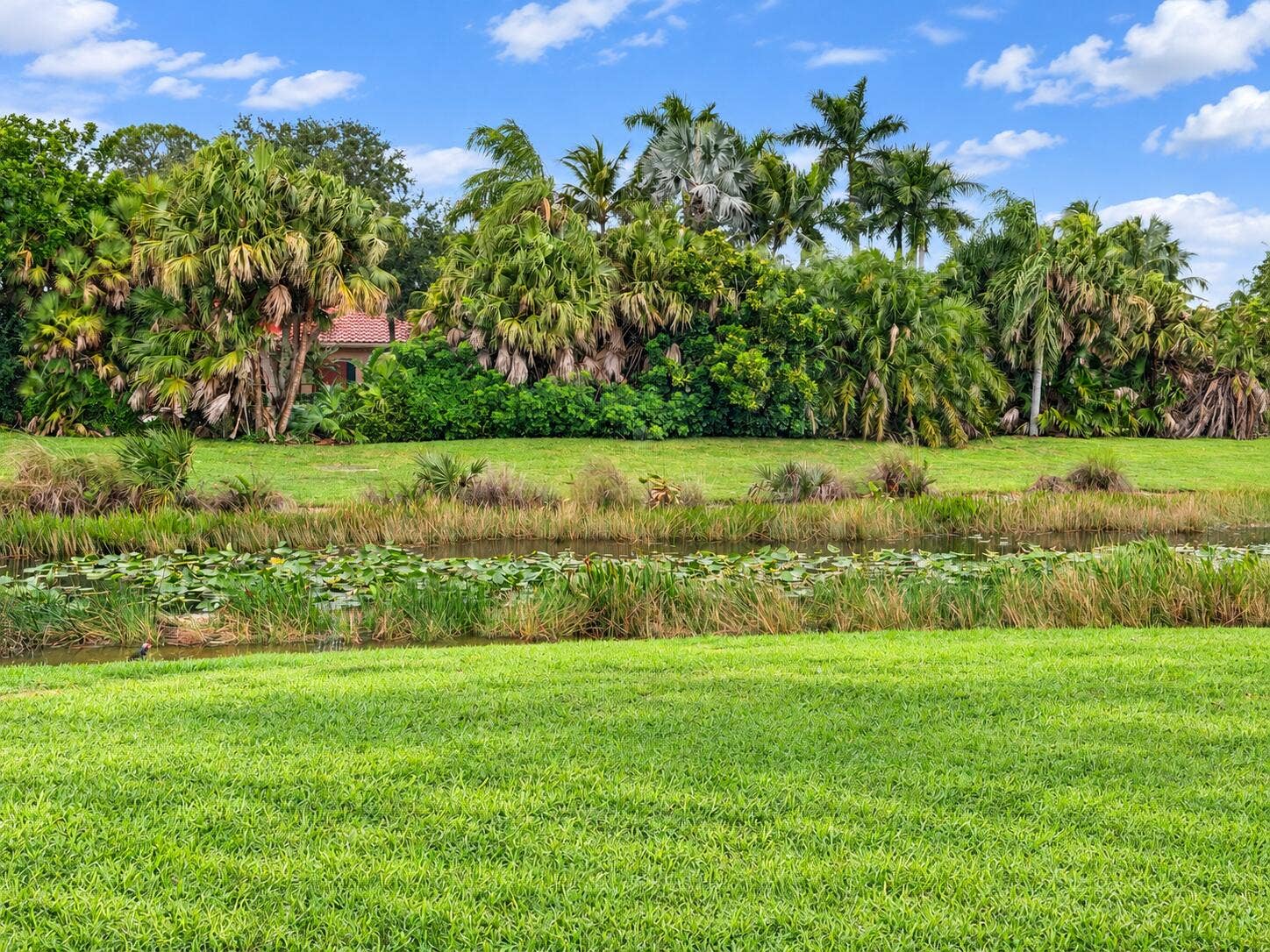 1705 FLAGLER MANOR Circle, West Palm Beach, FL 33411 Lakefront View from Backyard