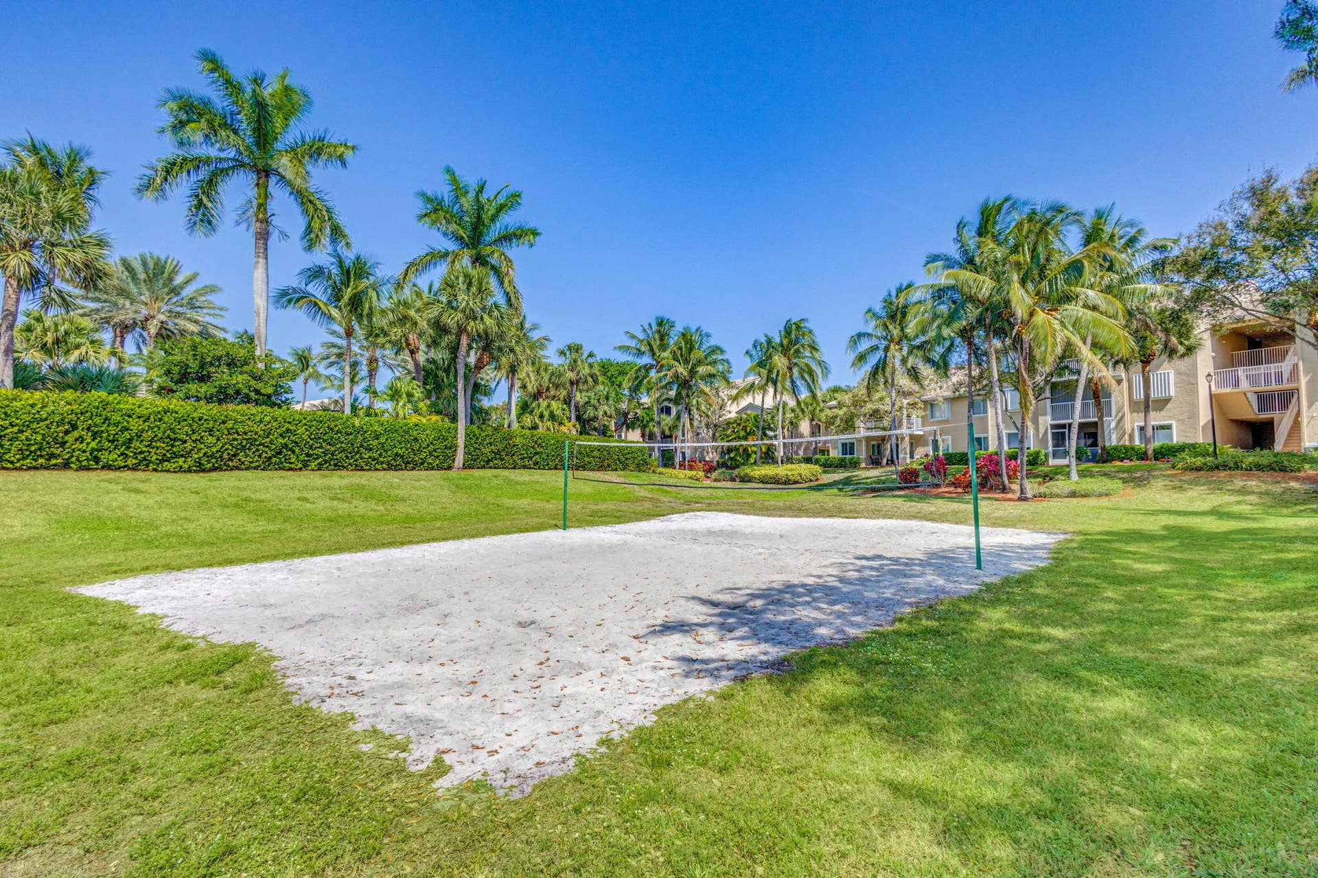 Sand volleyball court featuring a net, surrounded by mature palm trees and manicured lawn space