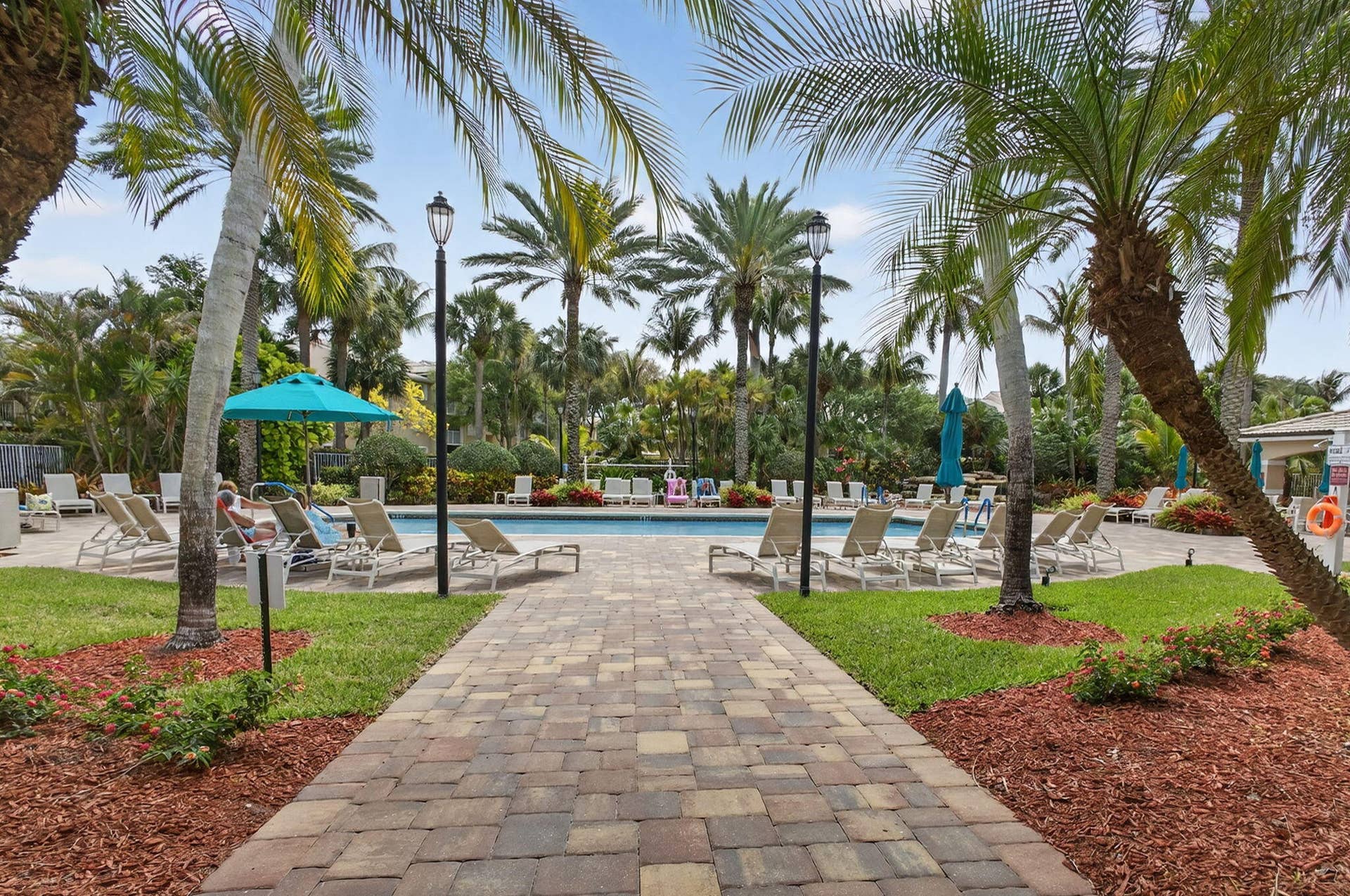 Swimming pool with paver decking, surrounded by mature palm trees and landscaped garden beds
