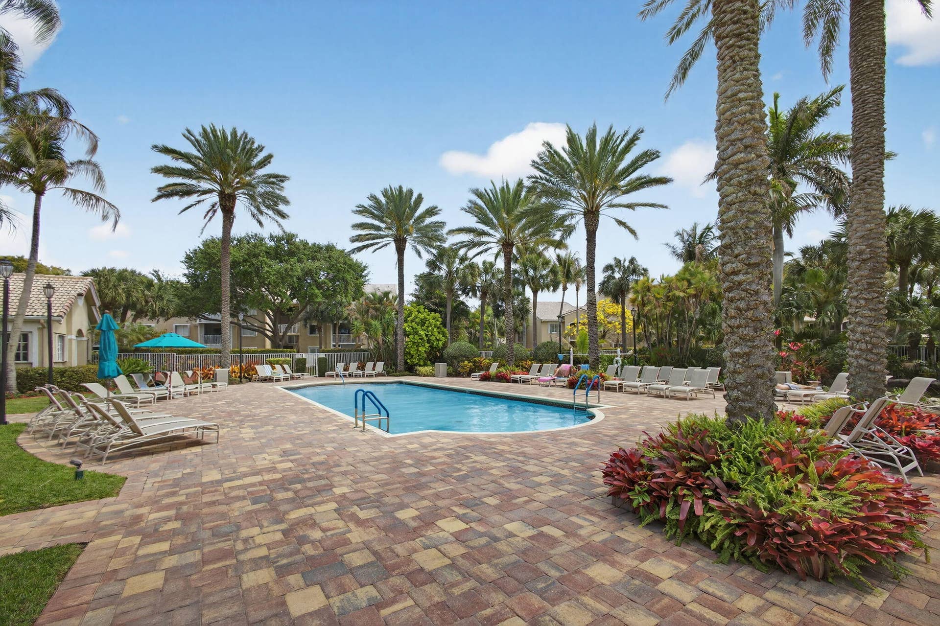 Swimming pool featuring a paver stone deck, manicured garden beds, and mature palm trees