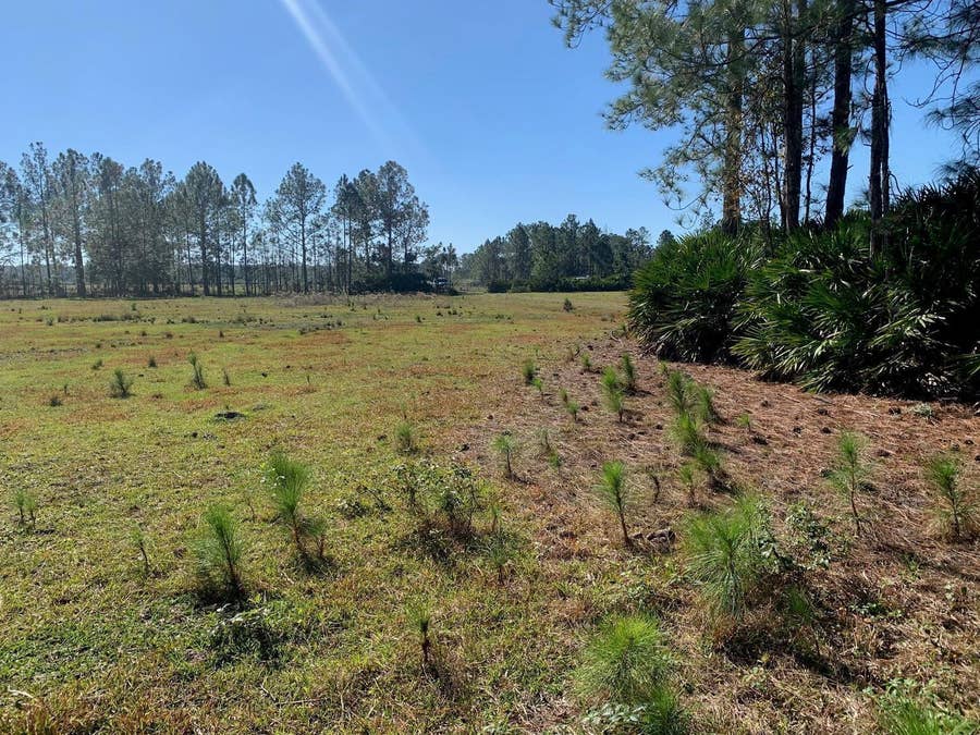 Property photo for 0 Poyner Road, Polk City, FL