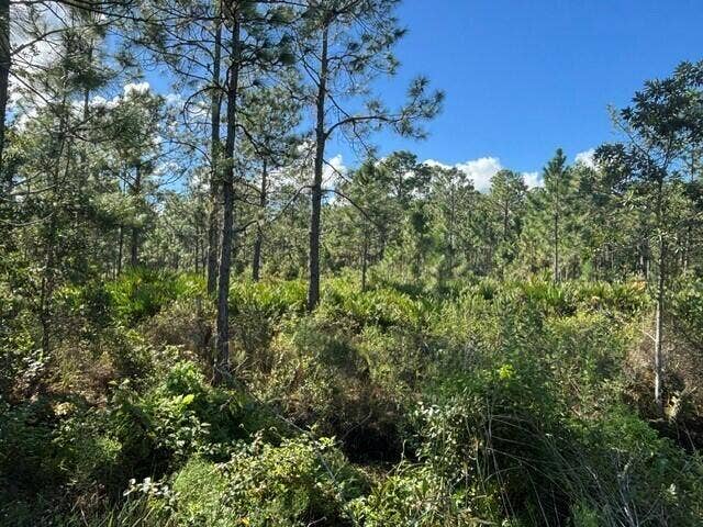 Property photo for 0 FL-60, Lake Wales, FL