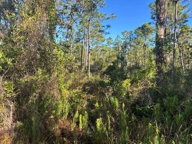 Property photo for 0 FL-60, Lake Wales, FL