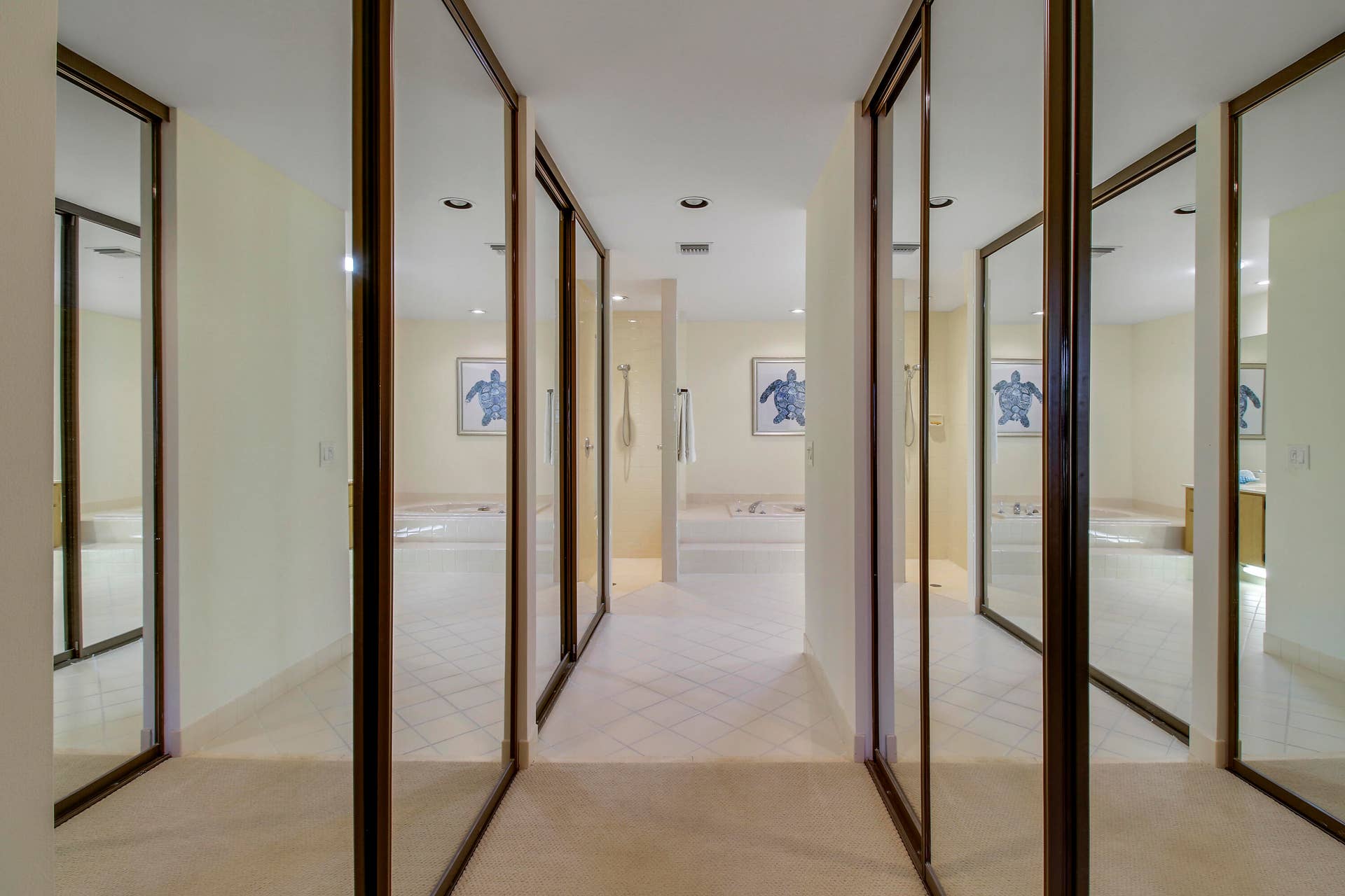 Master Bedroom Closets