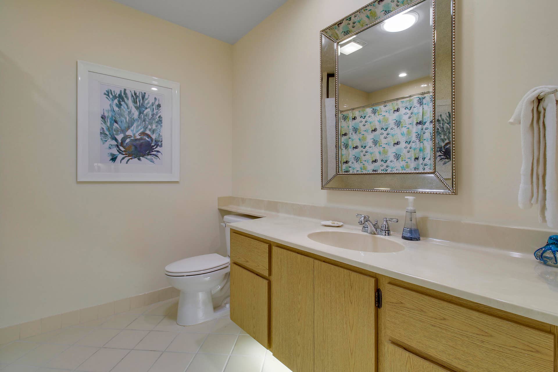 Guest Bath