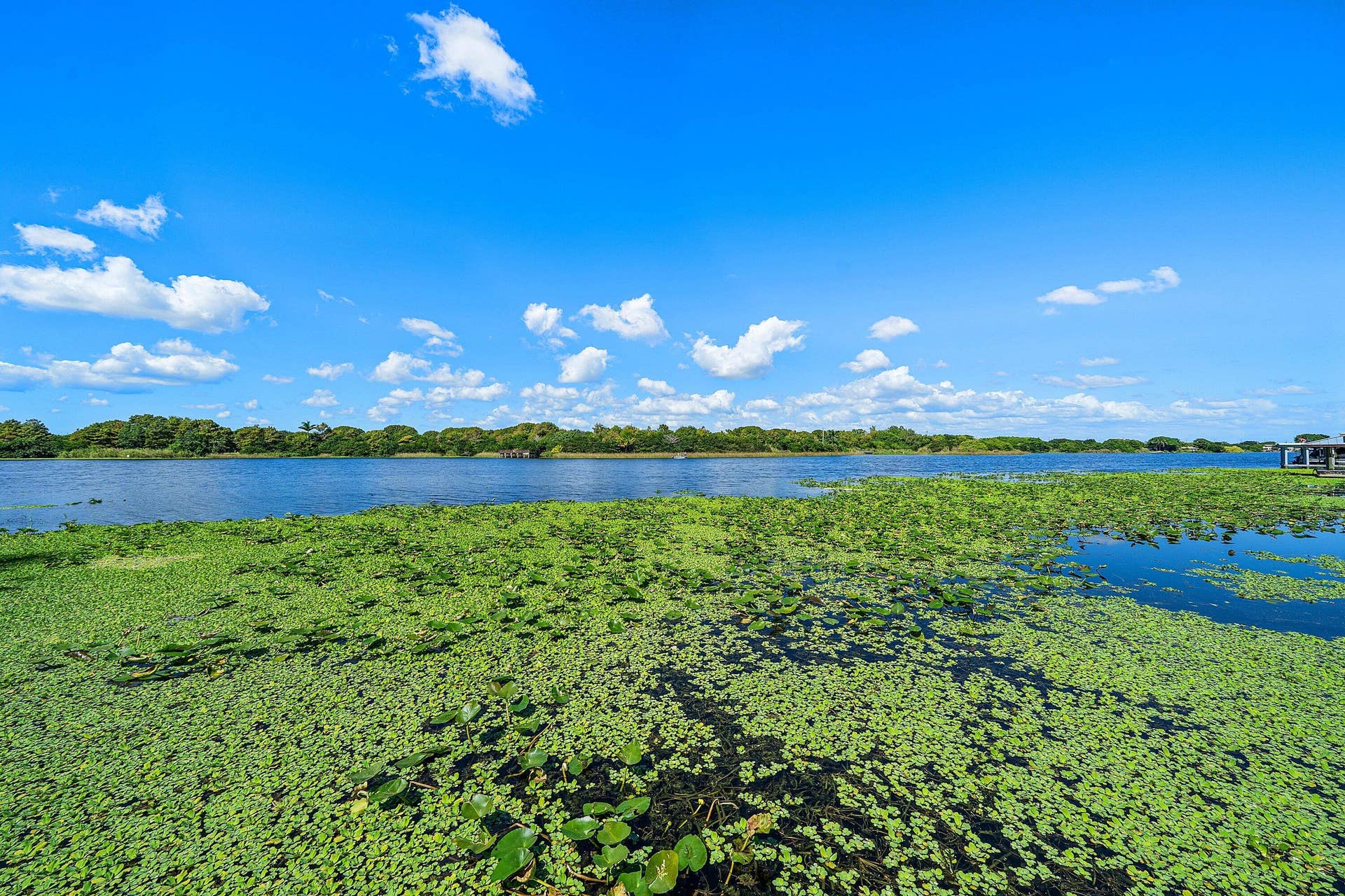 067-1400LakeDrive-DelrayBeach-FL-33444-S