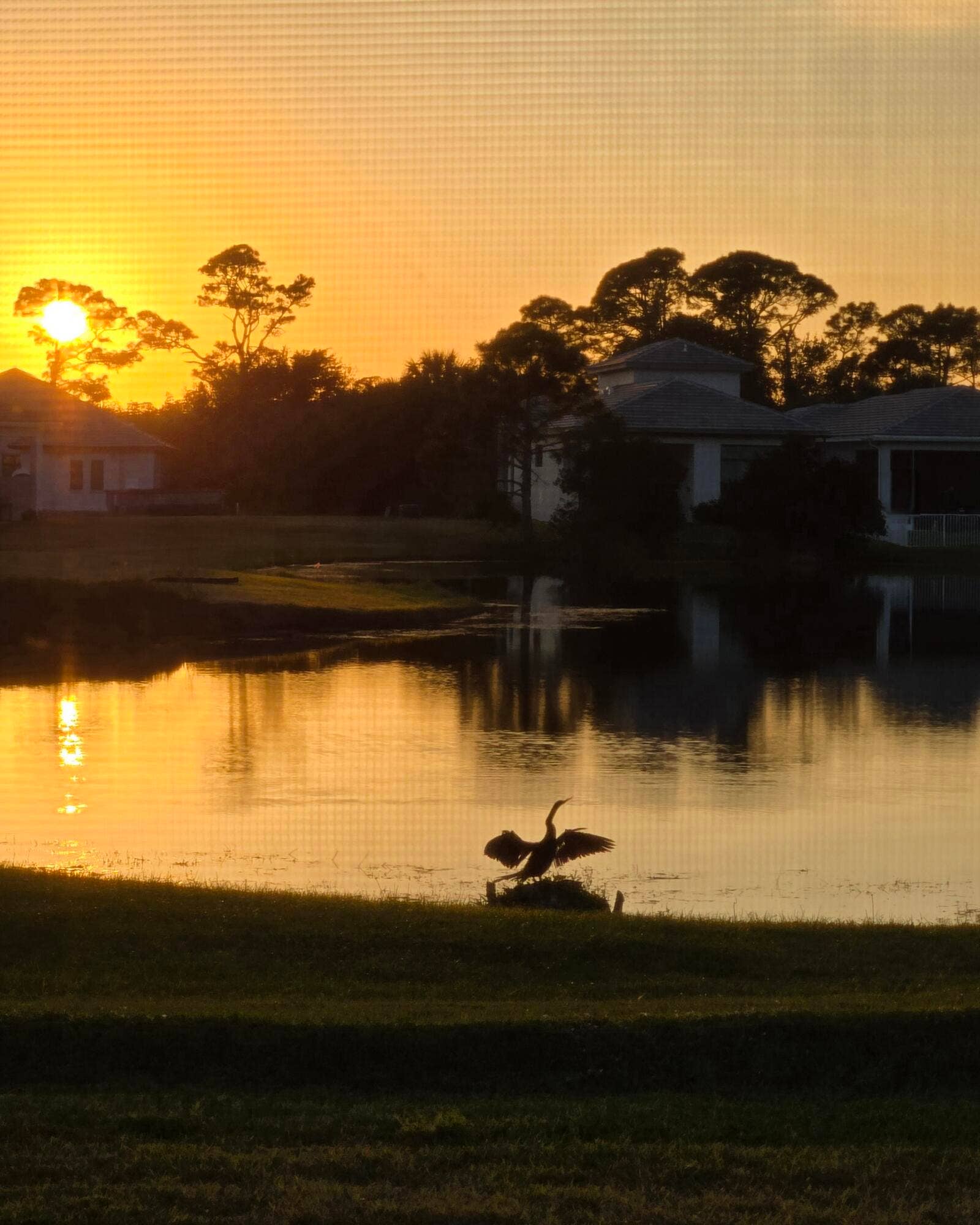 Stunning Sunsets!