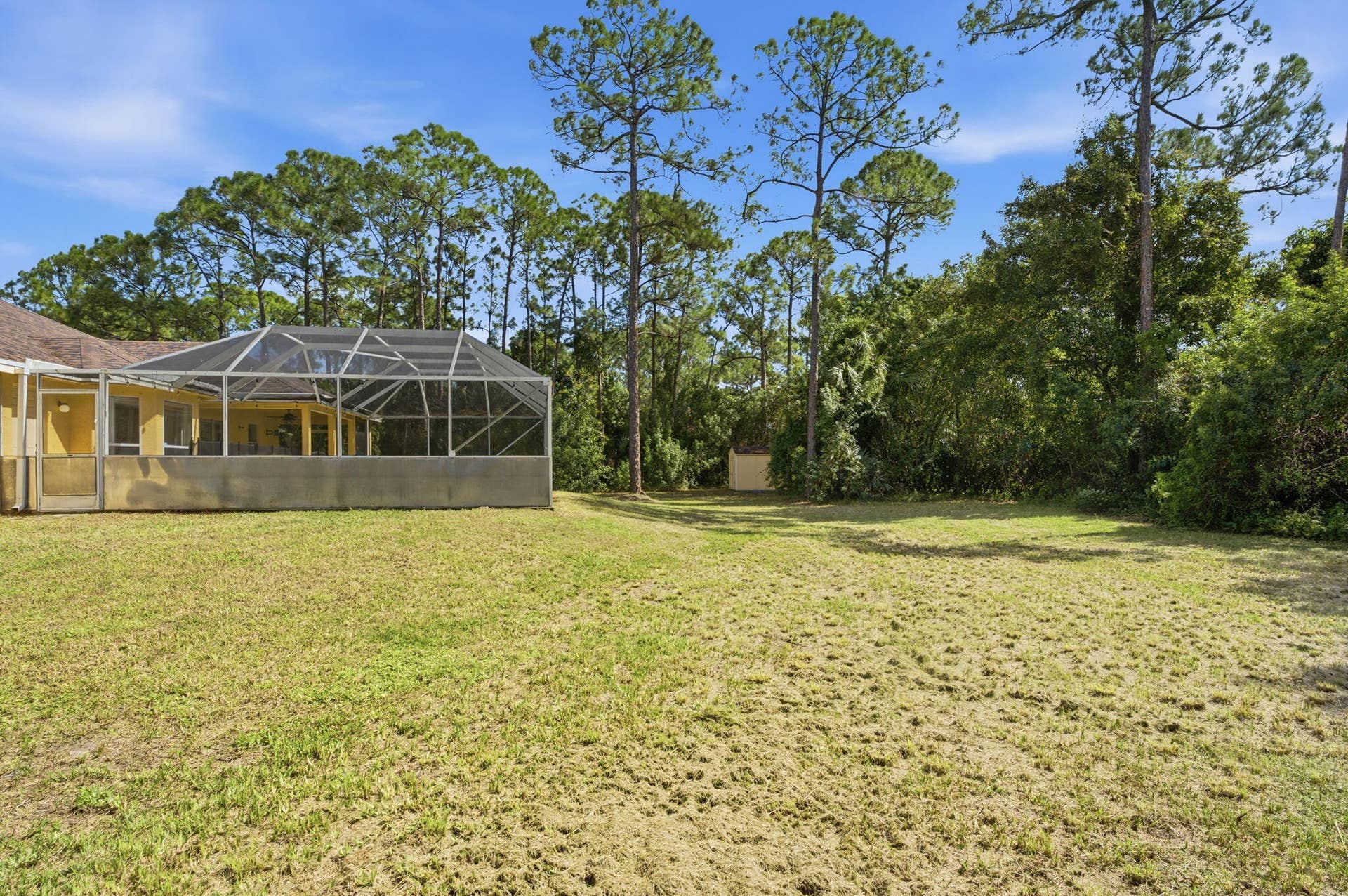 Spacious backyard featuring a screened-in lanai, manicured lawn, storage shed, and mature pine trees