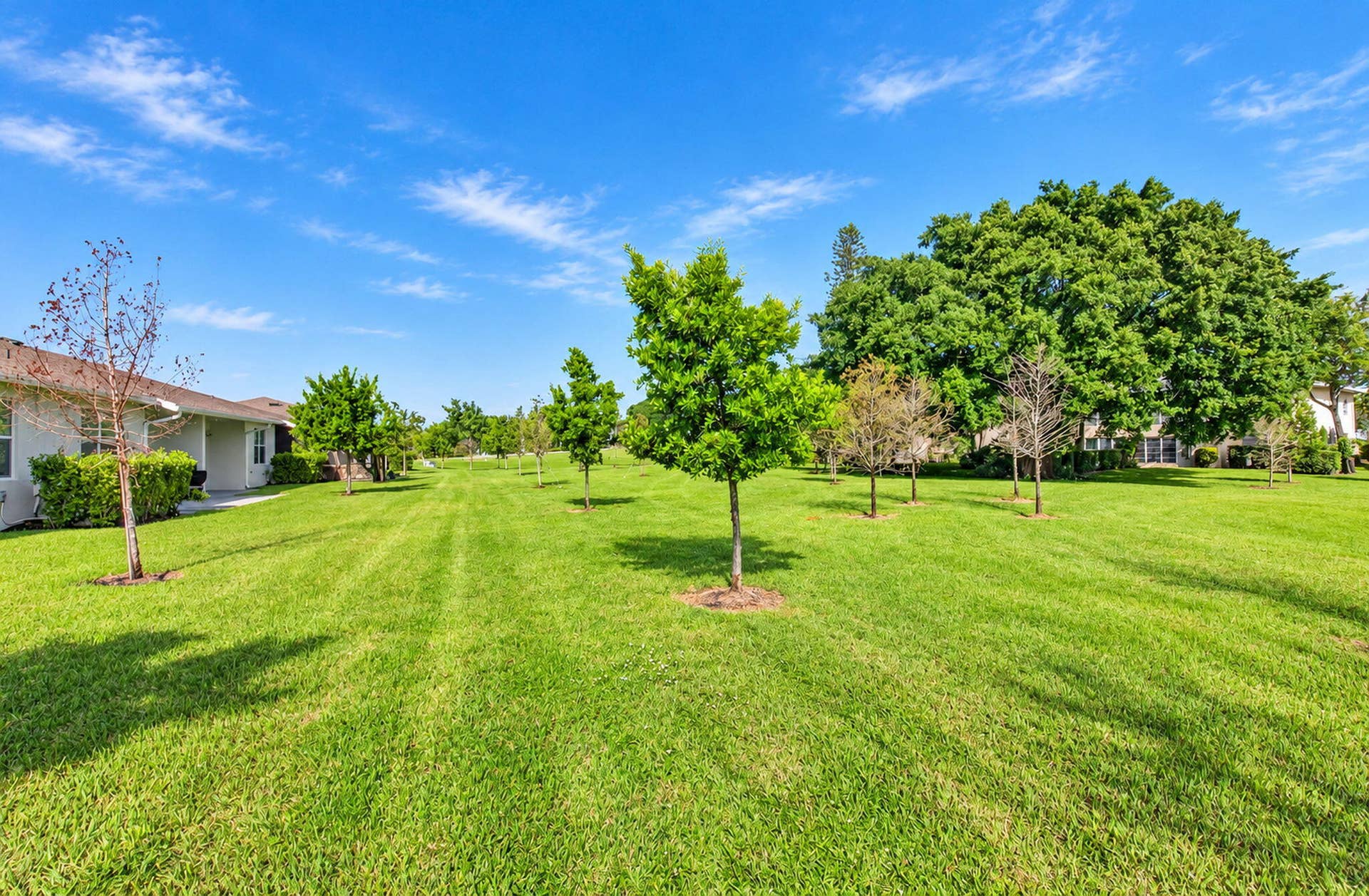 5665 Divine Drive, Delray Beach, FL 33484 33-web-or-mls-DSC_4790