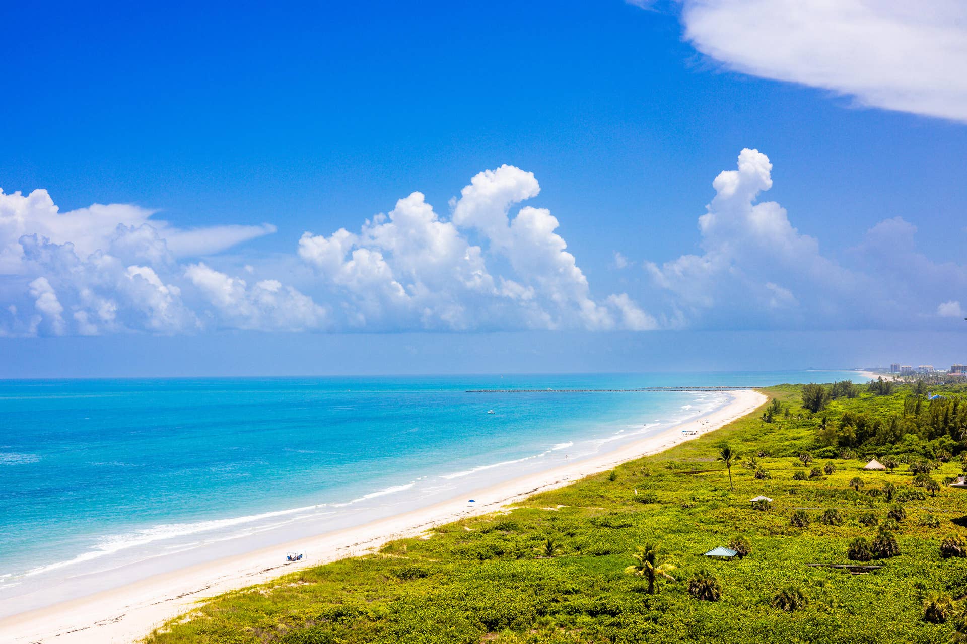 3100 N Highway A1A, #1101, Hutchinson Island, FL 34949 SOTO