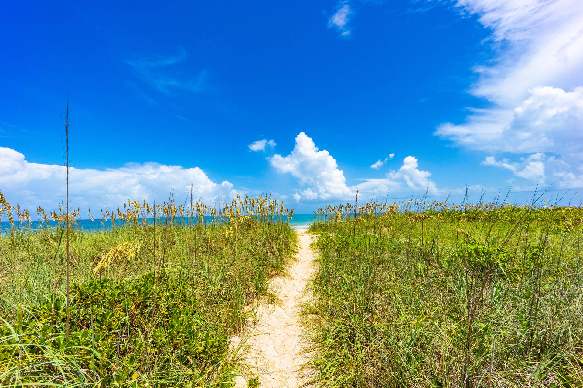 3100 N Highway A1A, #1101, Hutchinson Island, FL 34949 SOTO