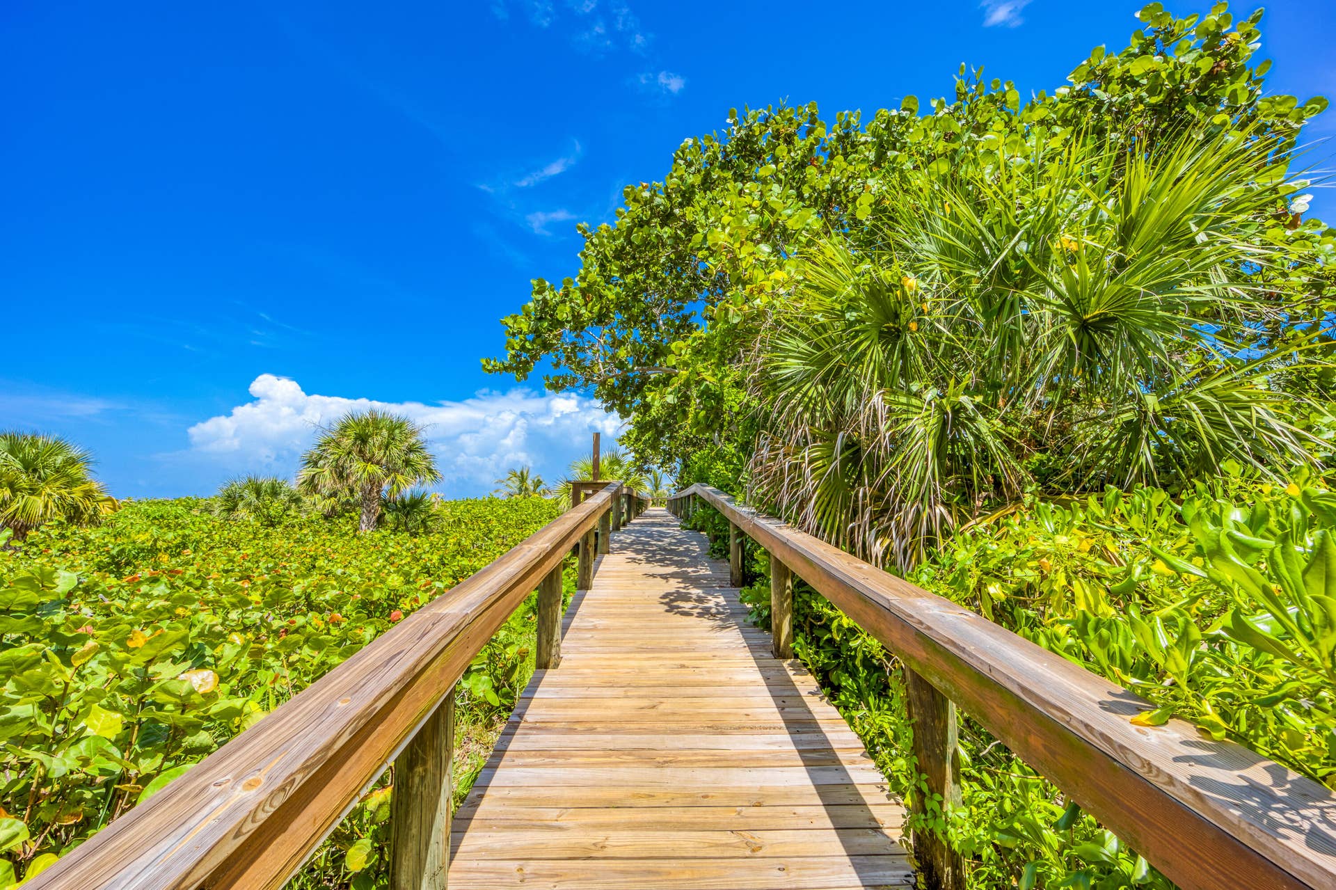 3100 N Highway A1A, #1101, Hutchinson Island, FL 34949 SOTO
