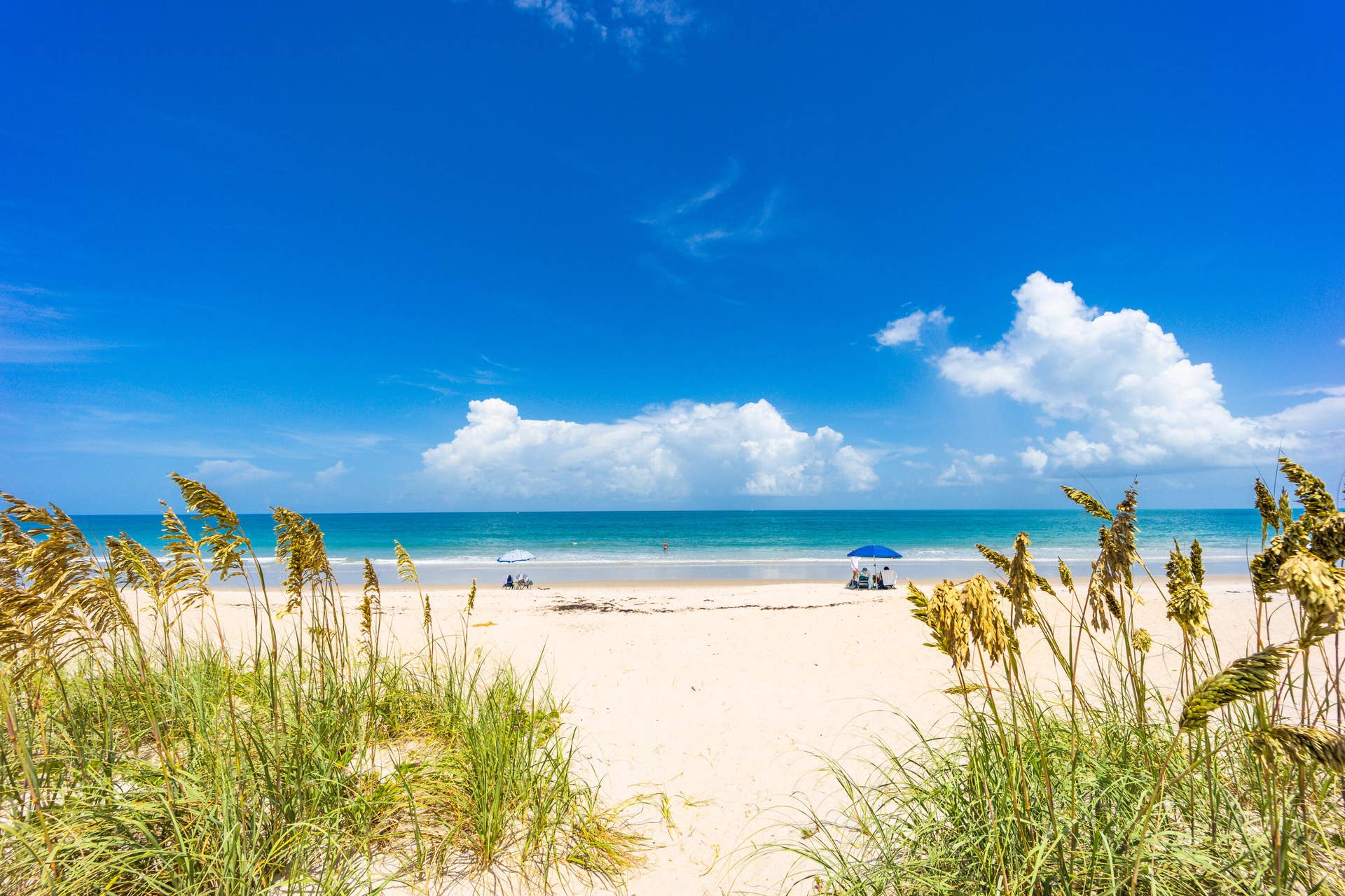 3100 N Highway A1A, #1101, Hutchinson Island, FL 34949 SOTO