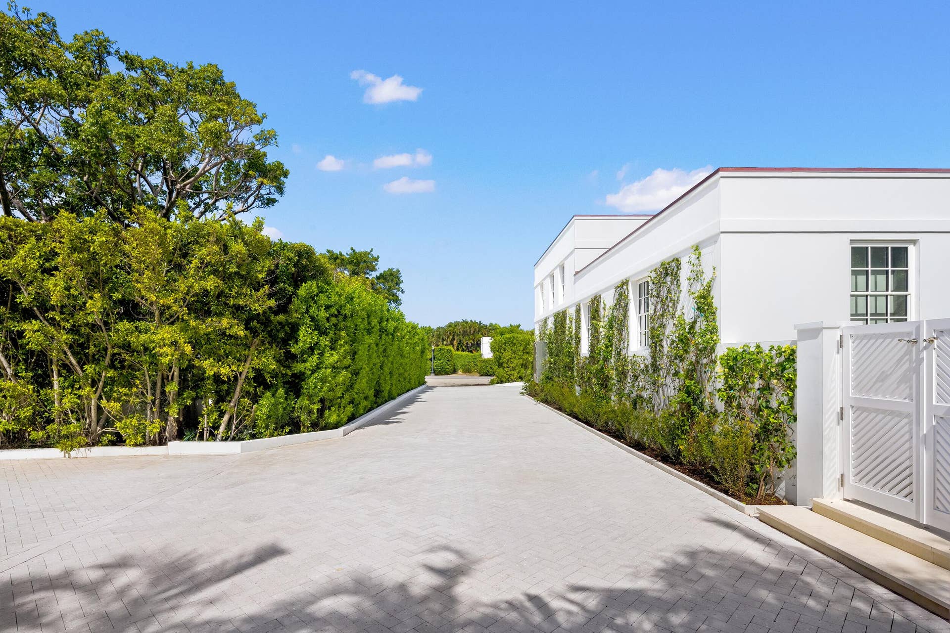 Driveway
