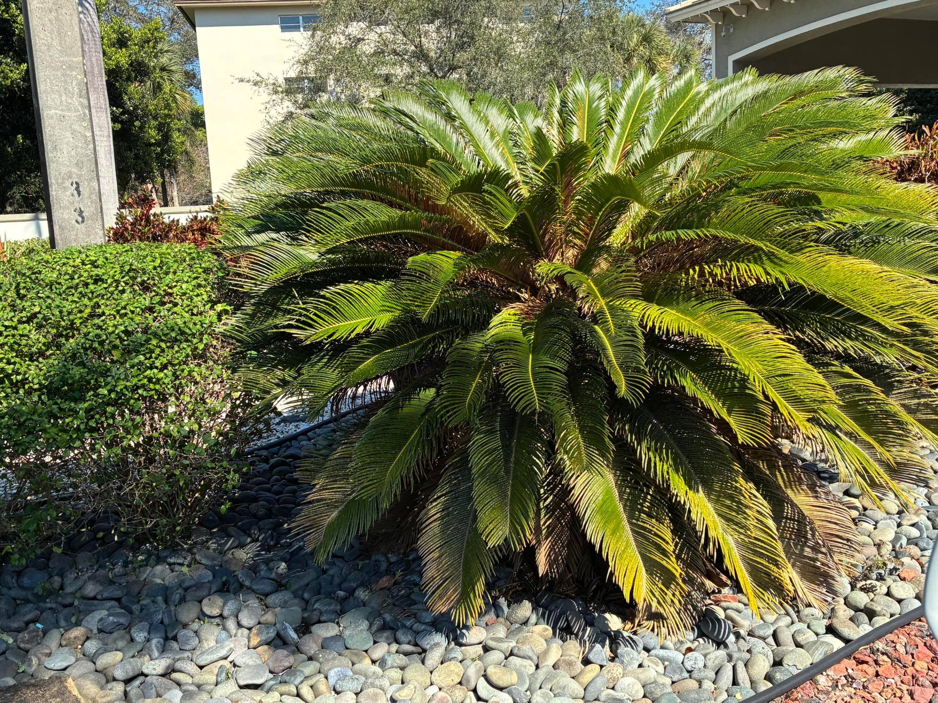 2502 ANTIGUA Terrace, #G1, Coconut Creek, FL 33066 IMG_0399