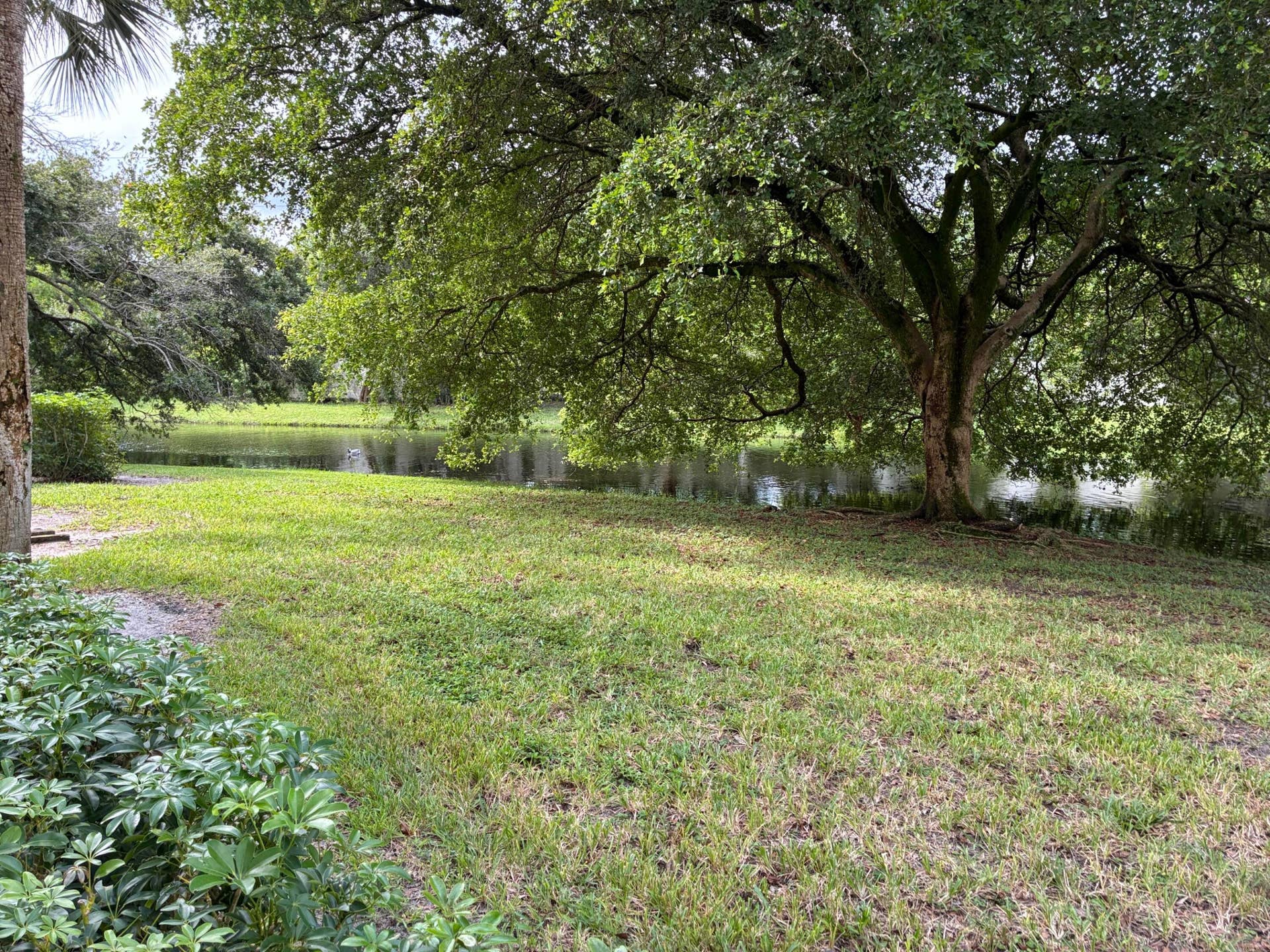 2502 ANTIGUA Terrace, #G1, Coconut Creek, FL 33066 IMG_3655