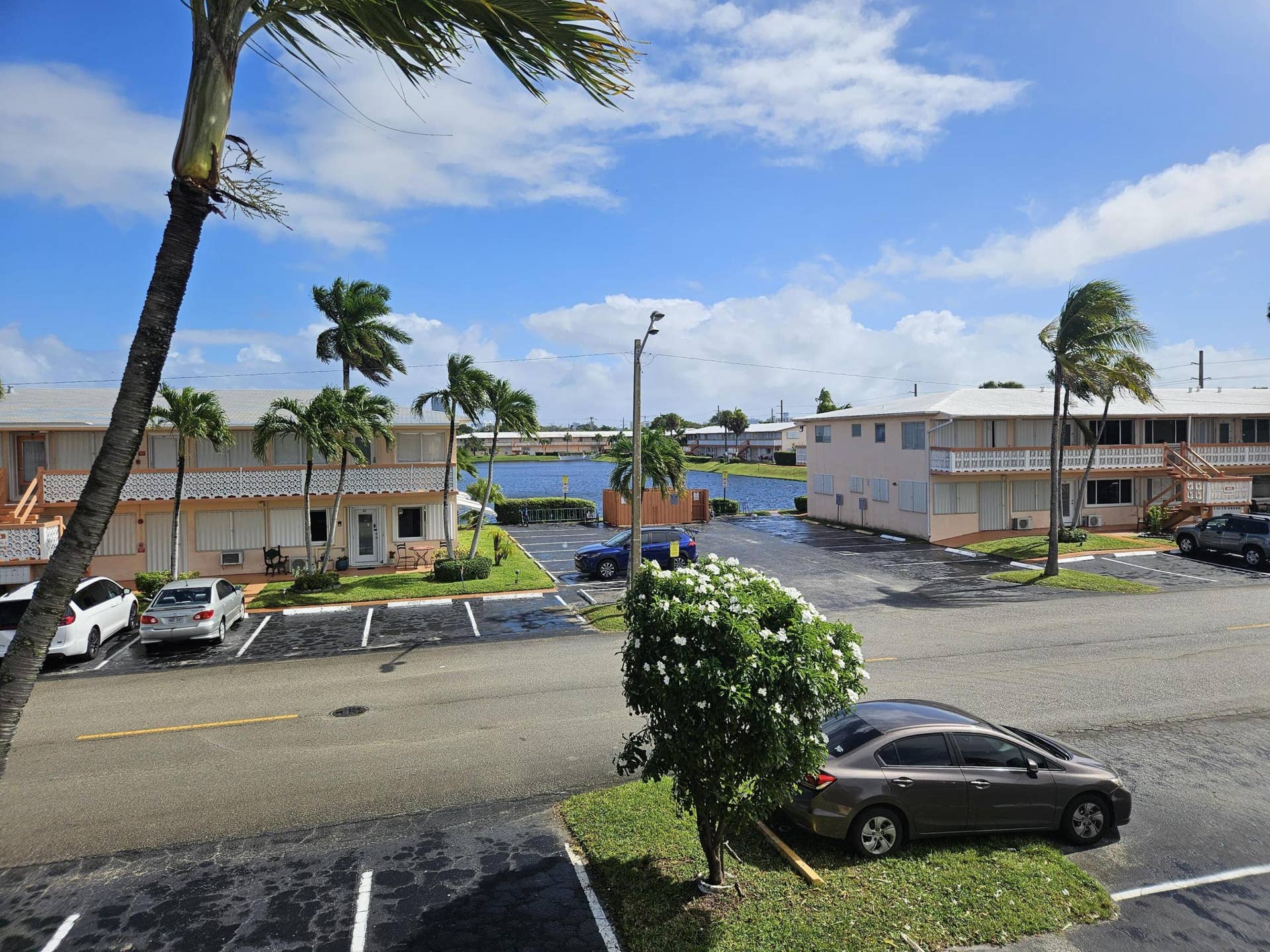 920 SW 11TH Avenue, #11, Hallandale Beach, Hallandale Beach, FL 33009 IMG-20261027-WA0049
