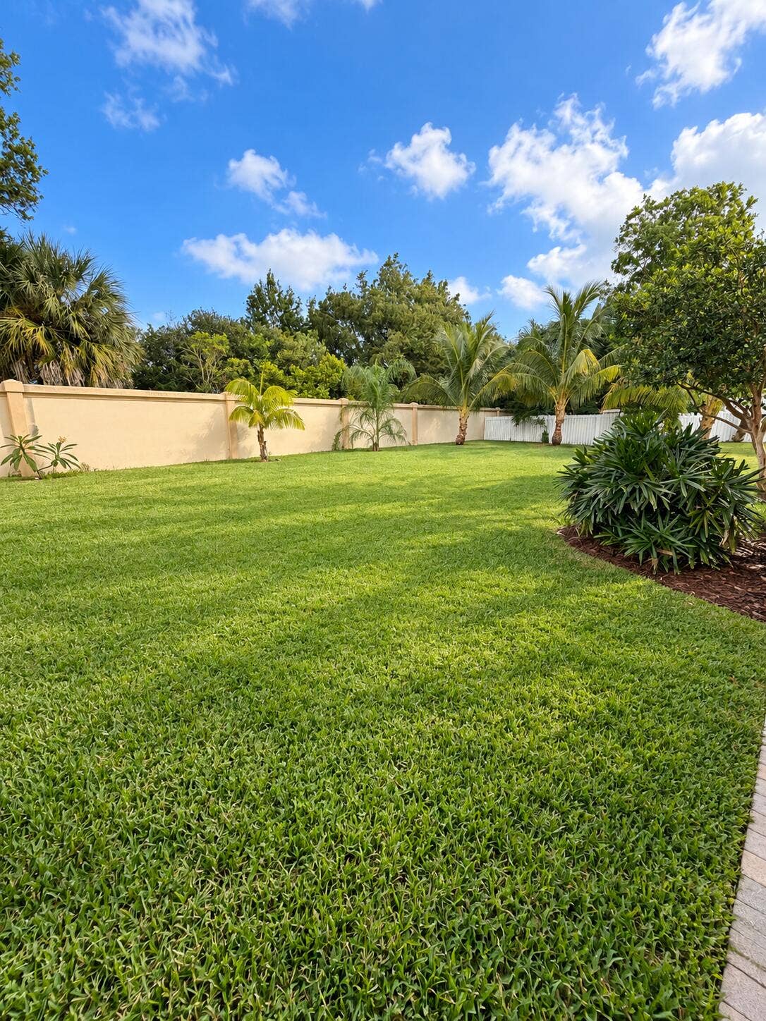 11317 TEMPLE Street, Cooper City, Cooper City, FL 33330 Yard2