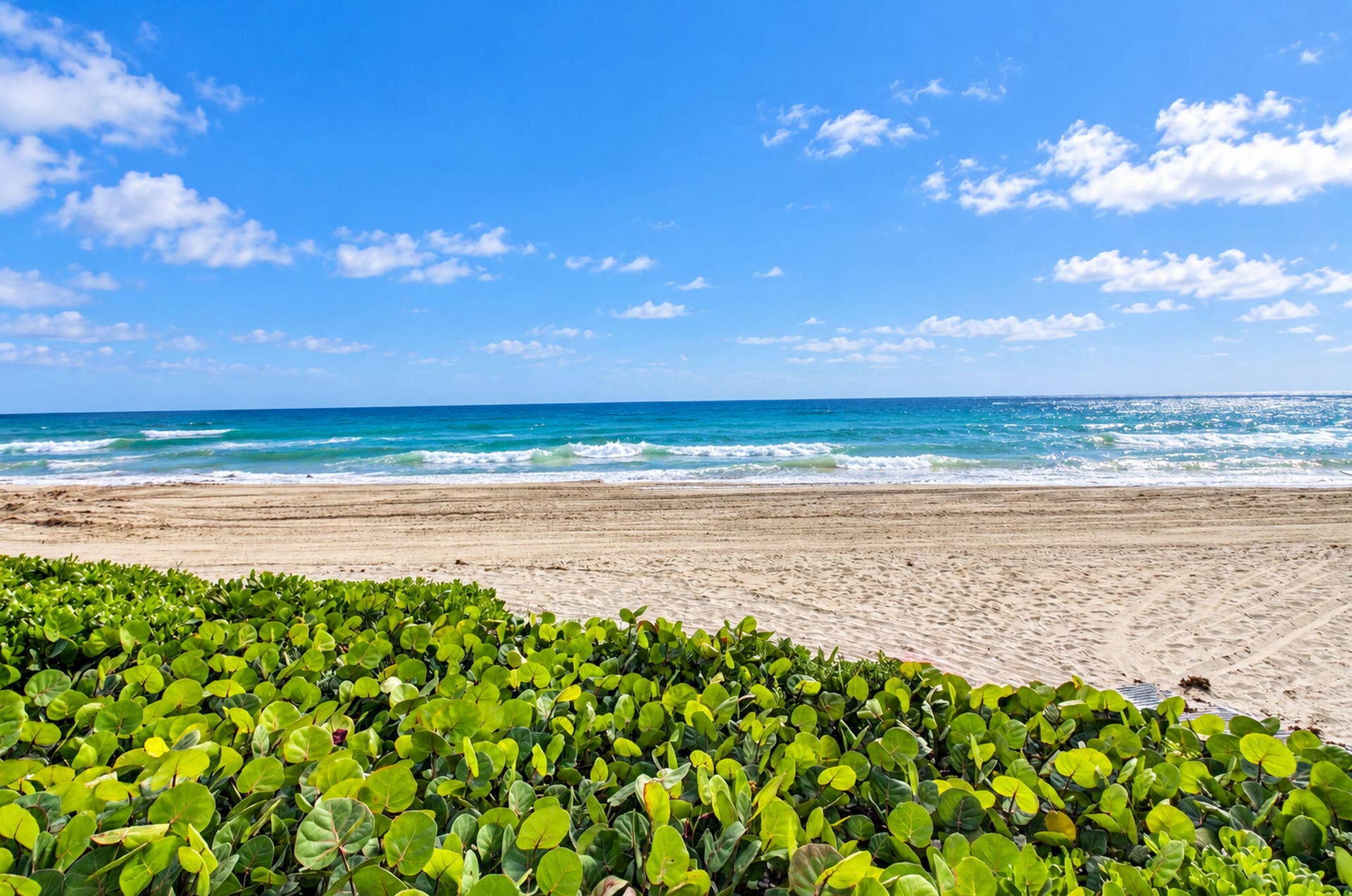 3400 S OCEAN Boulevard, #12G, Highland Beach, FL 33487 44-web-or-mls-DSC_1886