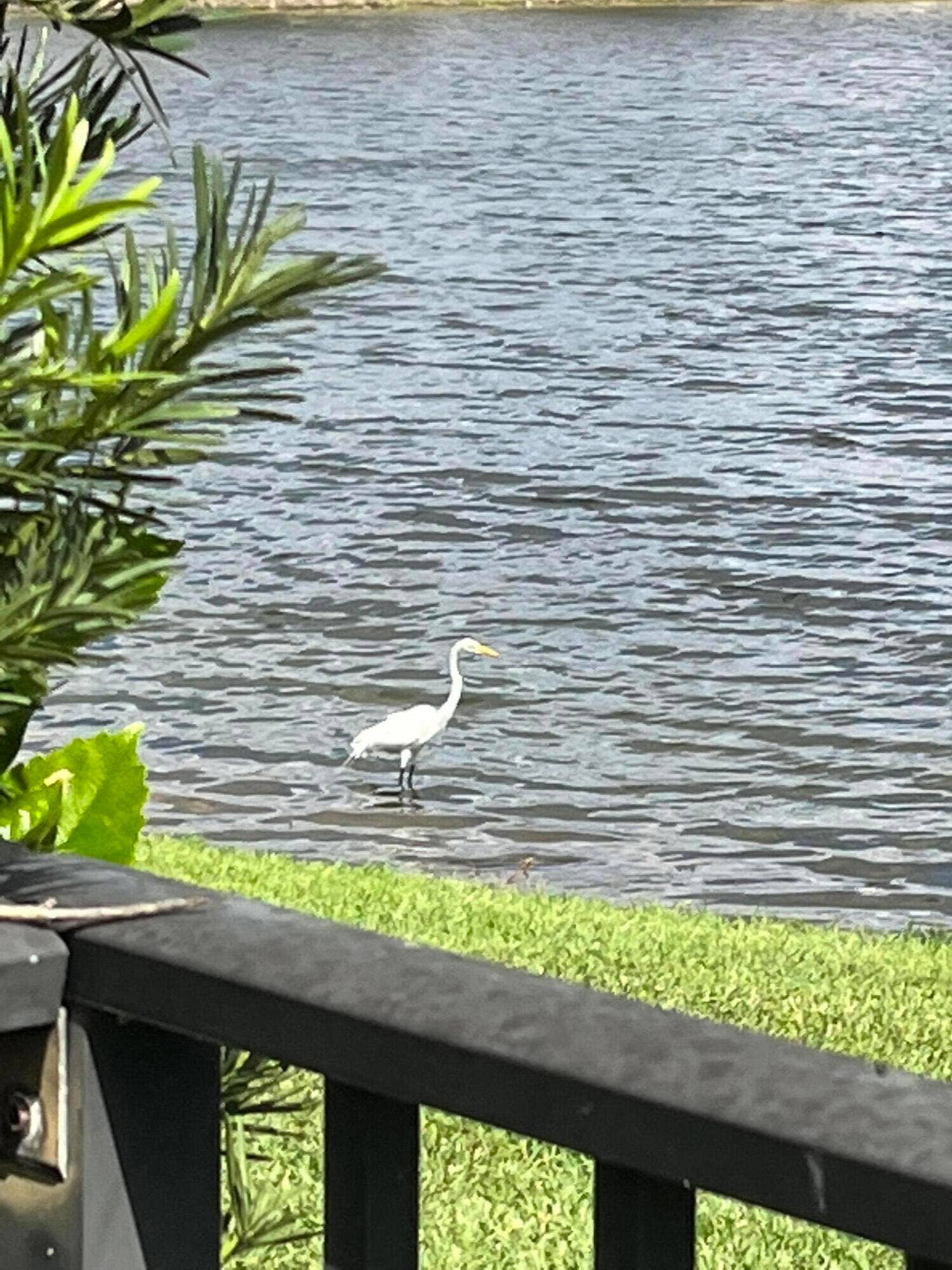17921 VILLA CLUB Way, Boca Raton, Boca Raton, FL 33496 VCW backyard3