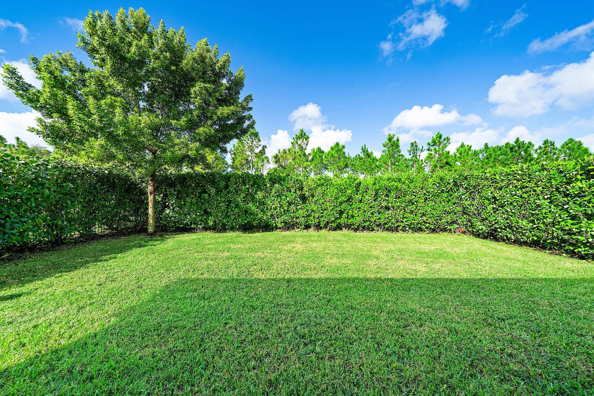 1225 Wandering Willow Way, Loxahatchee, FL 33470 Back yard