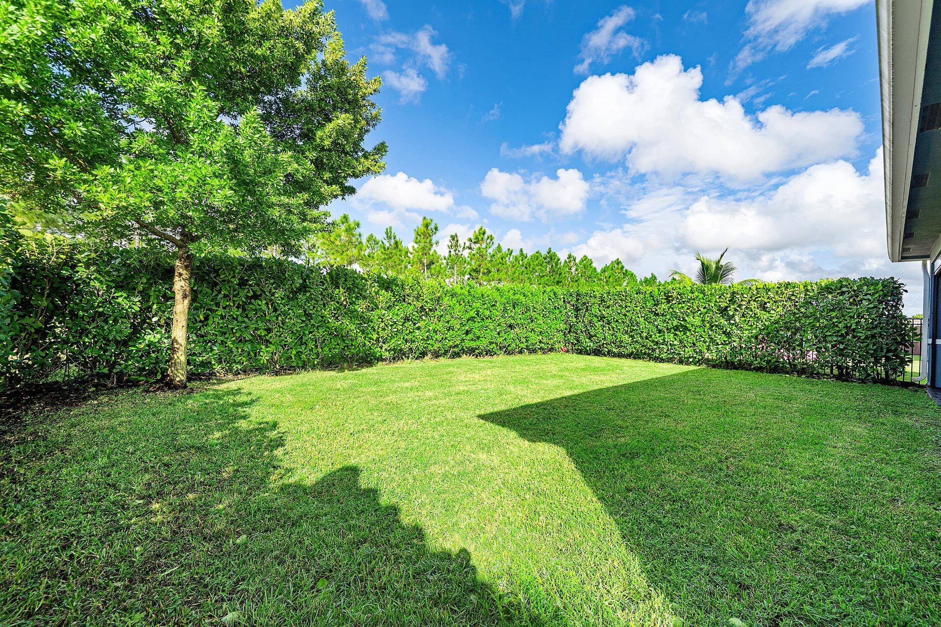 1225 Wandering Willow Way, Loxahatchee, FL 33470 Back yard