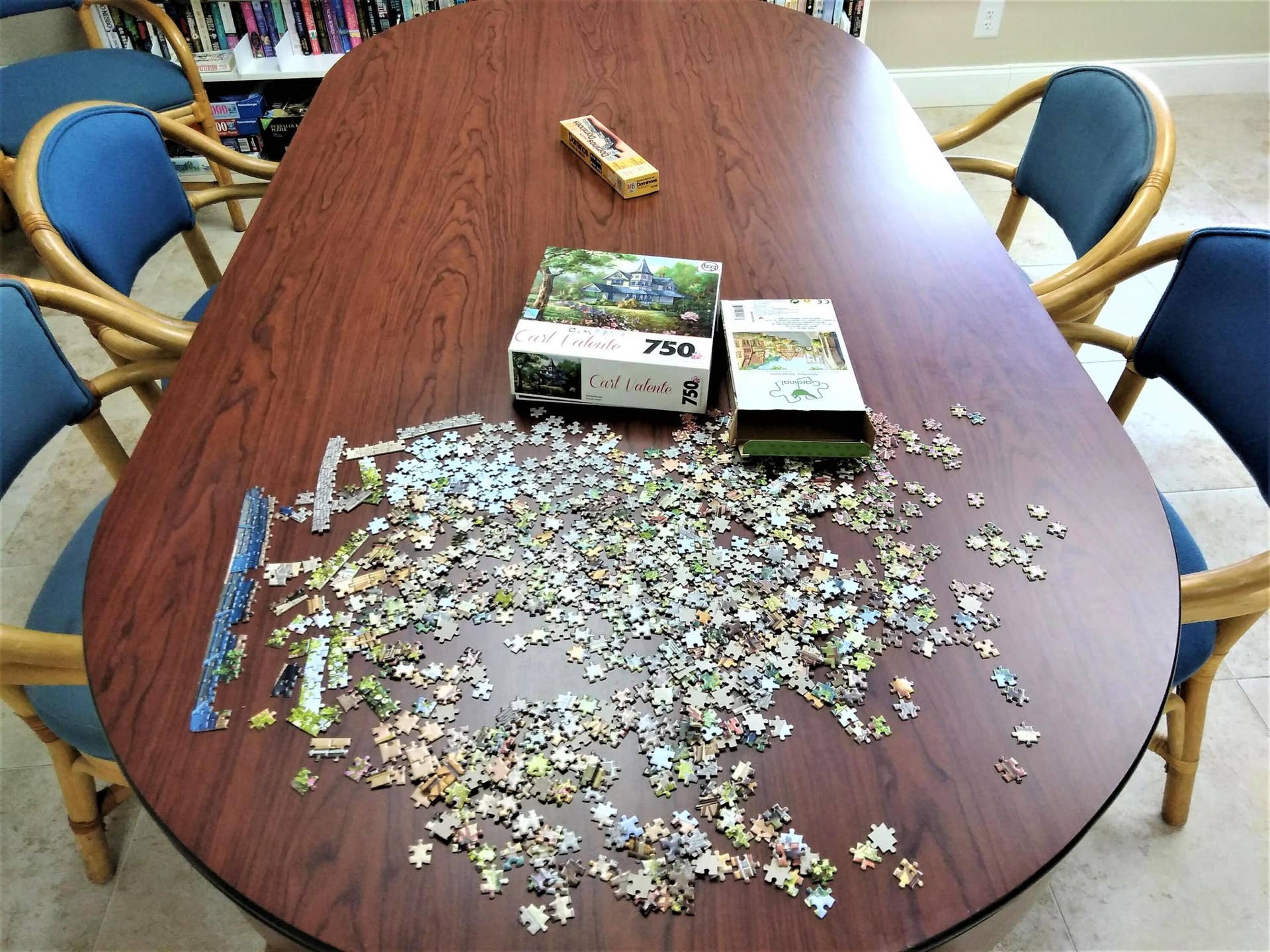 2955 Crosley Drive W, #F, West Palm Beach, FL 33415 JIGSAW PUZZLES