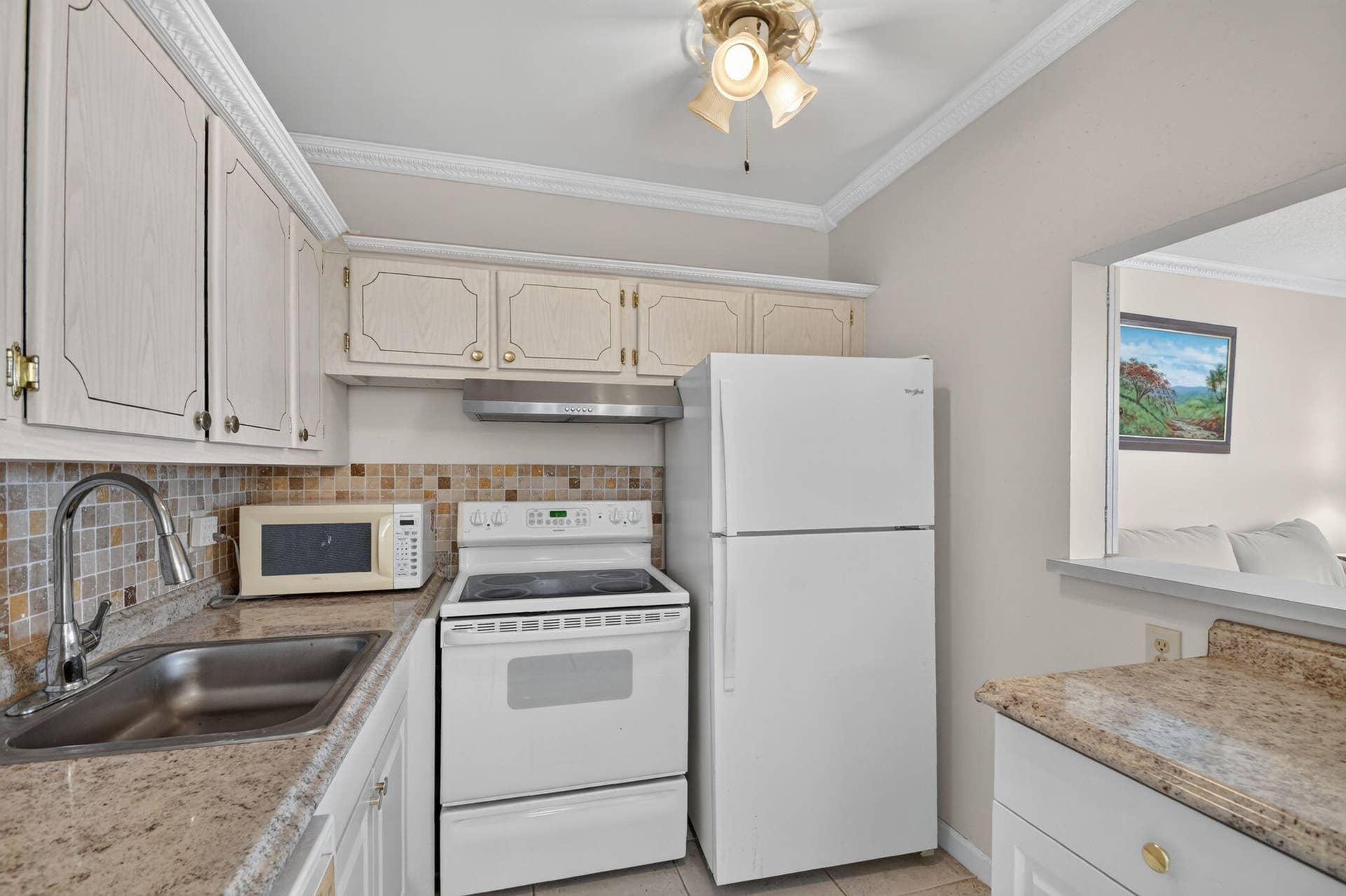 135 SALISBURY F, West Palm Beach, FL 33417 12-web-or-mls-DSC_6639